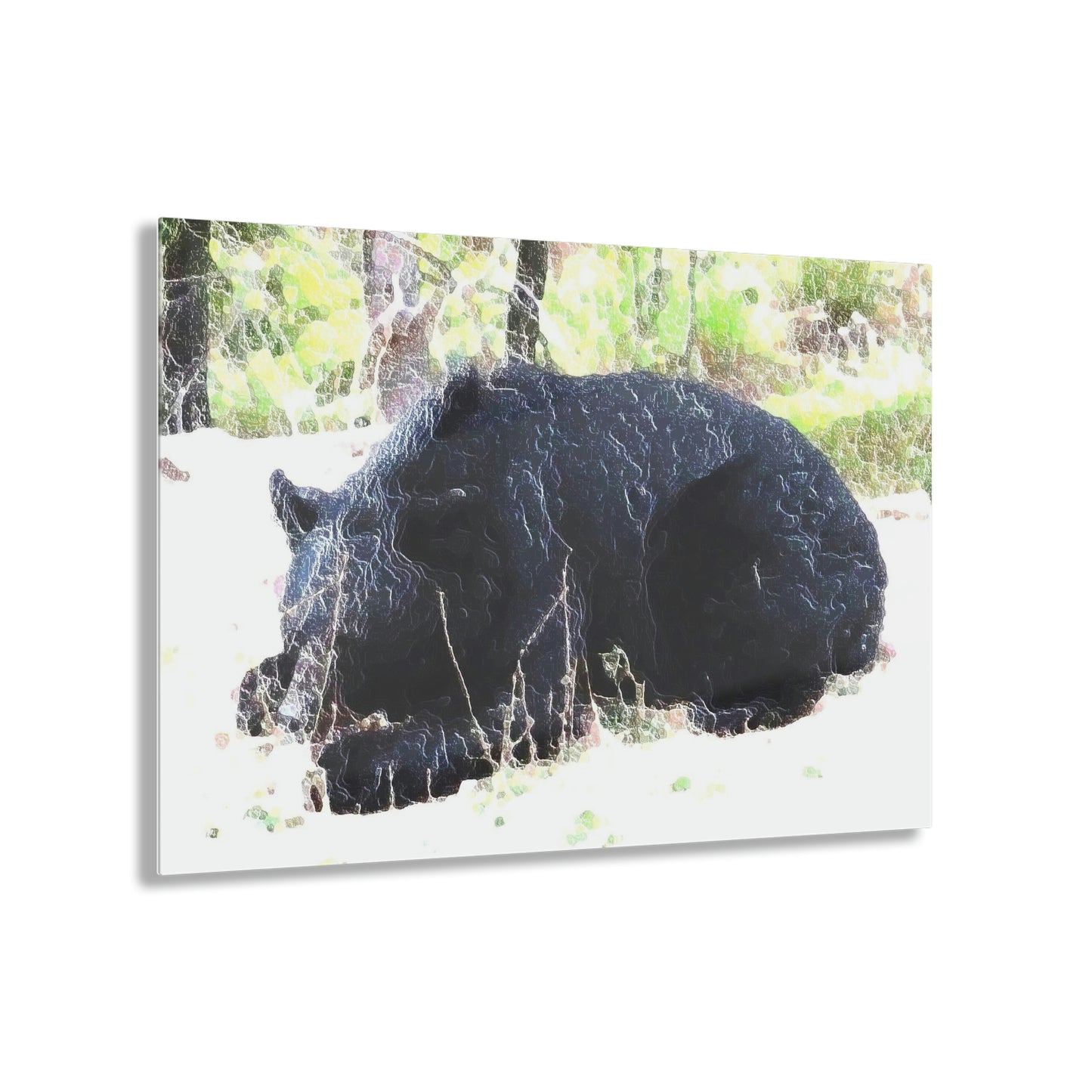 Acrylic Prints ... RCY: "Rhett Creek Yogi ... '500 Lbs Of Autumn Season Hunger' ..."  ... September 2022 ... Central Idaho ... Original Works ...
