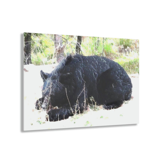 Acrylic Prints ... RCY: "Rhett Creek Yogi ... '500 Lbs Of Autumn Season Hunger' ..."  ... September 2022 ... Central Idaho ... Original Works ...