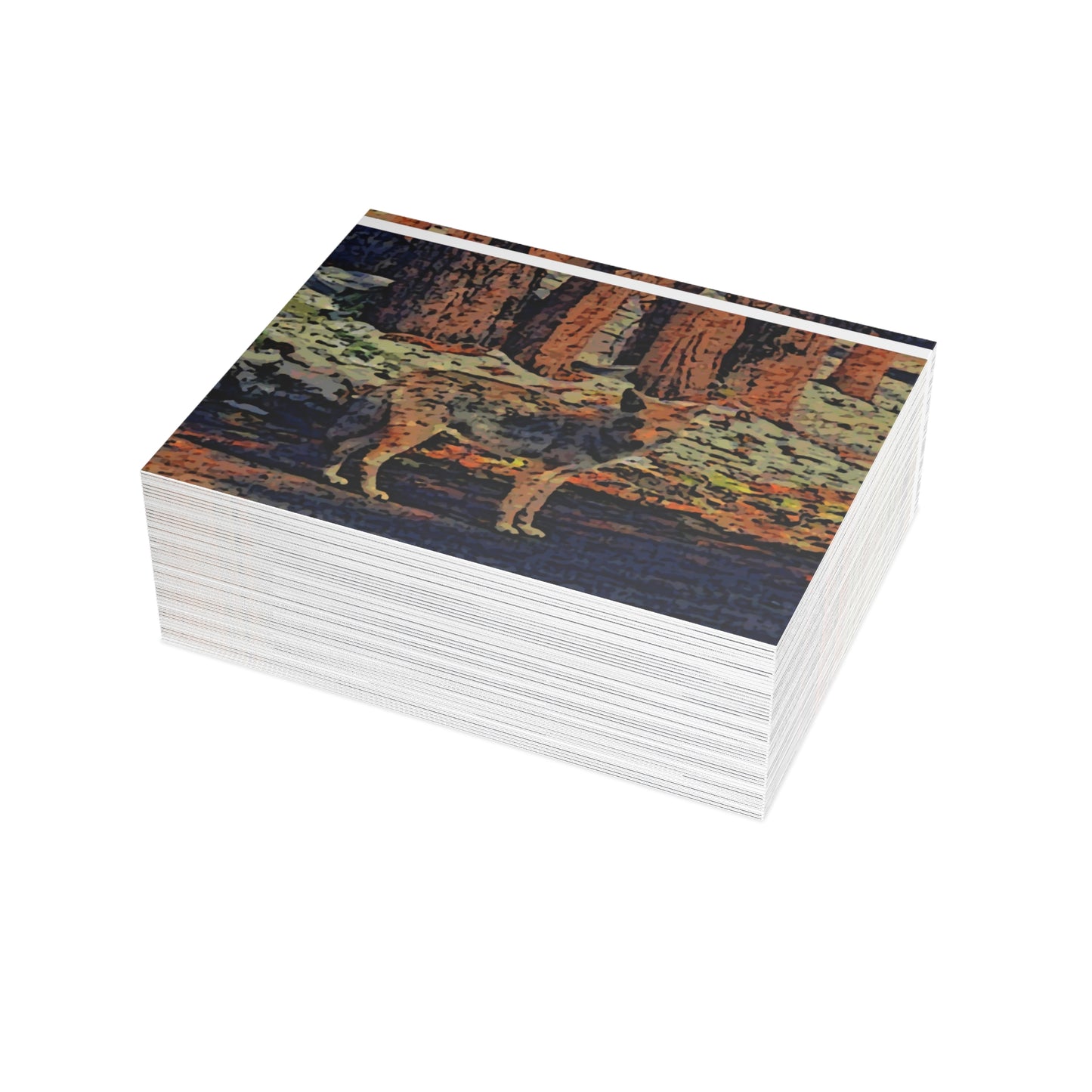 Greeting Cards (1, 10, 30, and 50pcs) ... Coyote ... "Yosemite Valley: Circa May23 ... KPH Base Photo" ... Original Works ...