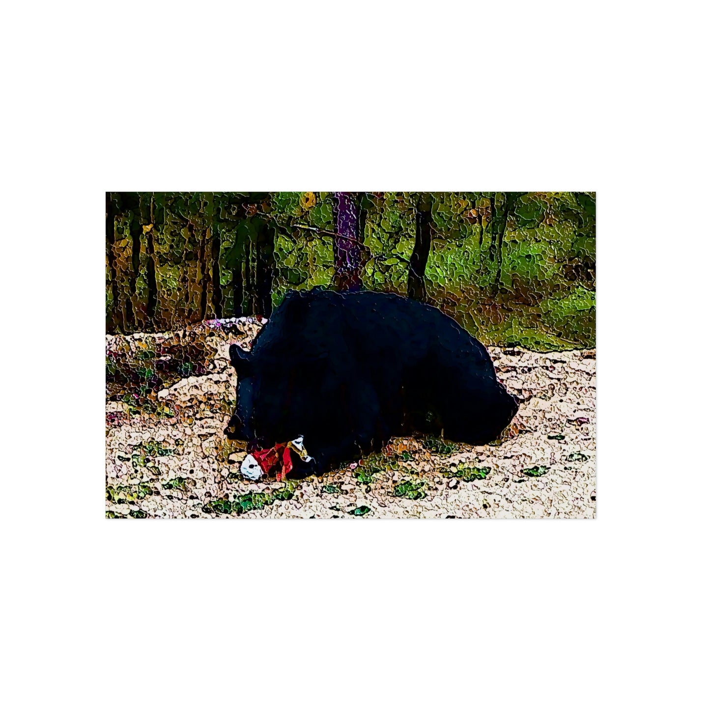 Aluminum Composite Panels ... A Local 'Yogi_2' ... RCY: "Rhett Creek Yogi: 500#'s Of Hungry Black Bear" ... 28-29Sep23 ... Original Works ... Client Project-Folio ...