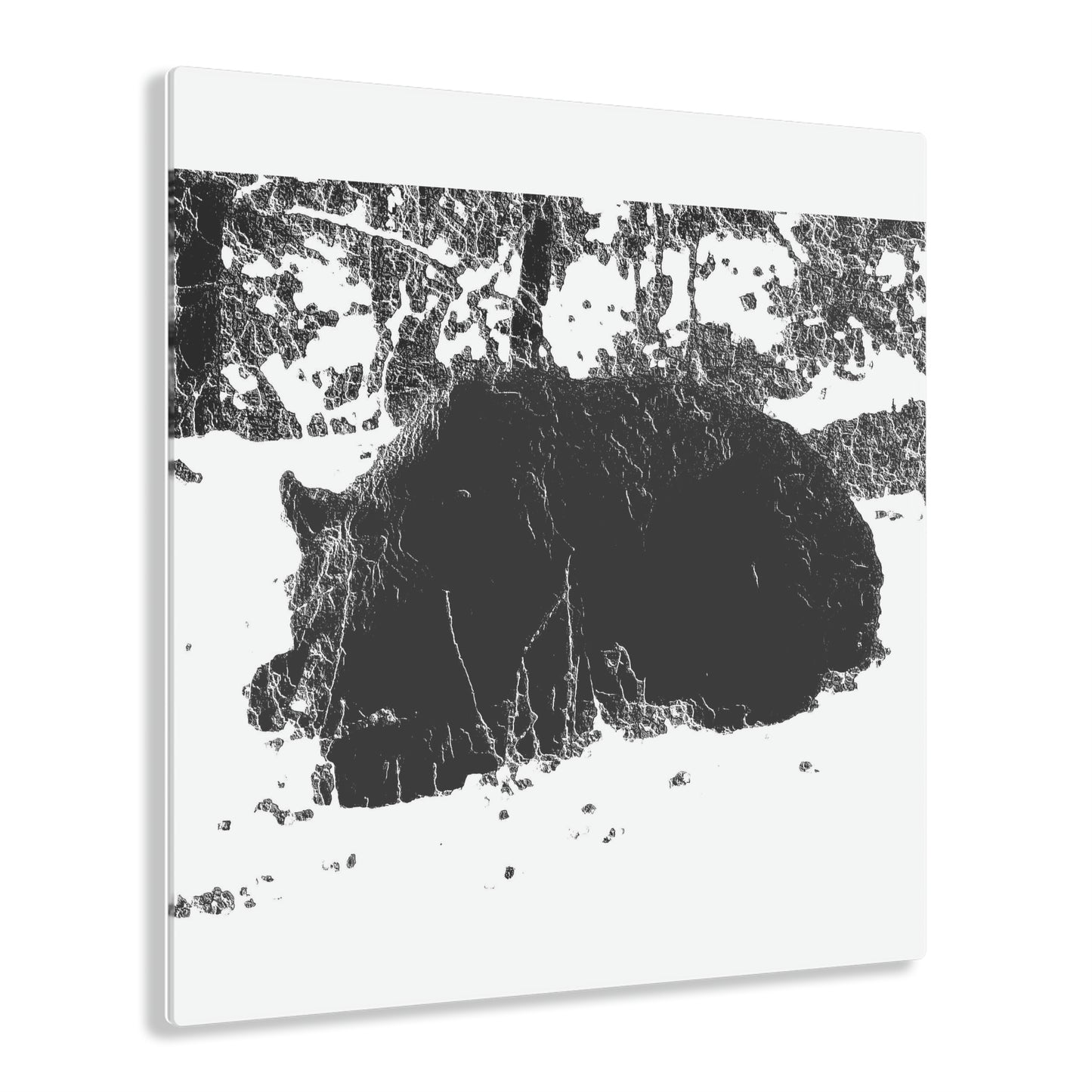 Acrylic Prints ... RCY: "Rhett Creek Yogi ... '500 Lbs Of Autumn Season Hunger' ..."  ... September 2022 ... Central Idaho ... Original Works ...