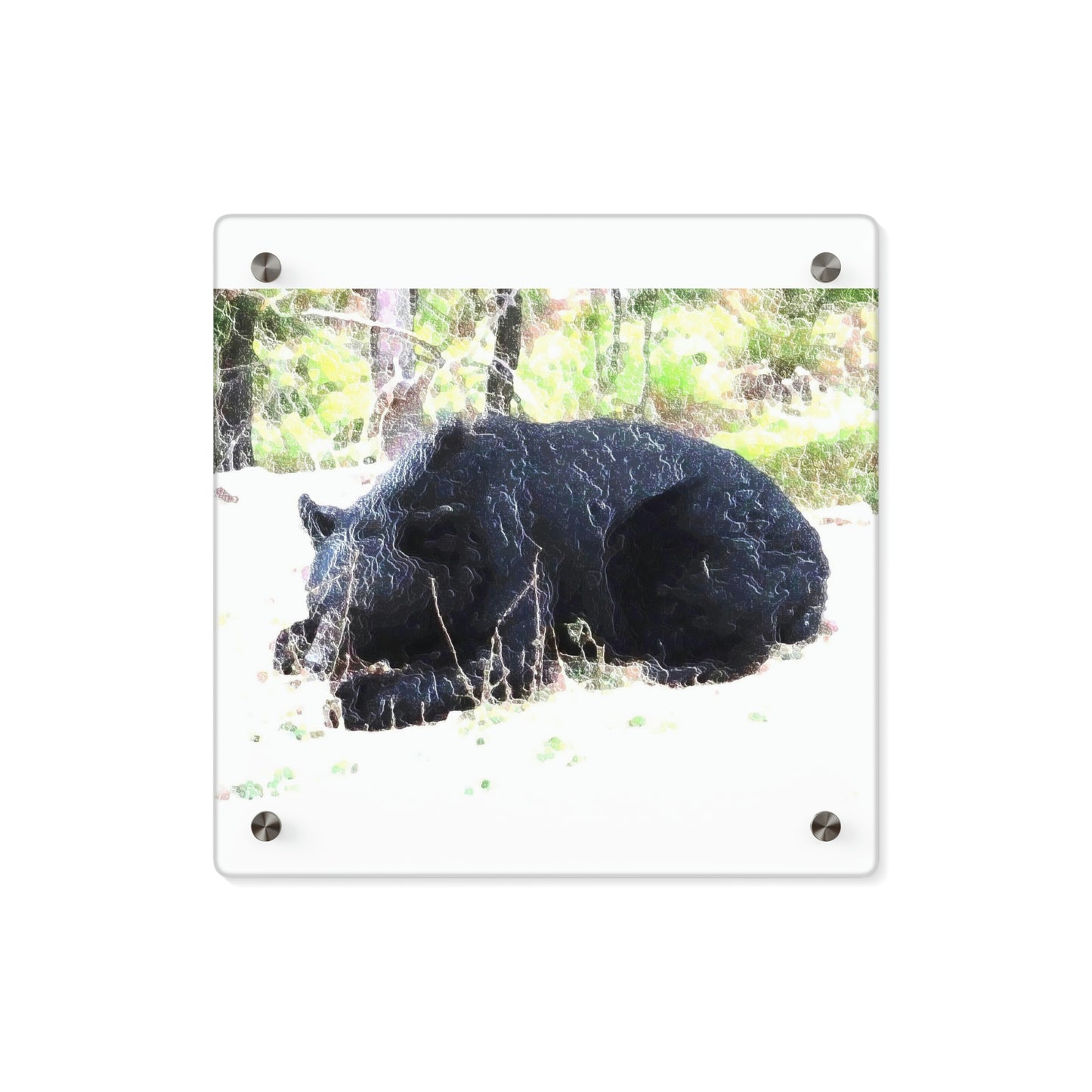 Acrylic Wall Art Panels ... RCY: "Rhett Creek Yogi ... '500 Lbs Of Autumn Season Hunger' ..."  ... September 2022 ... Central Idaho ... Original Works ...