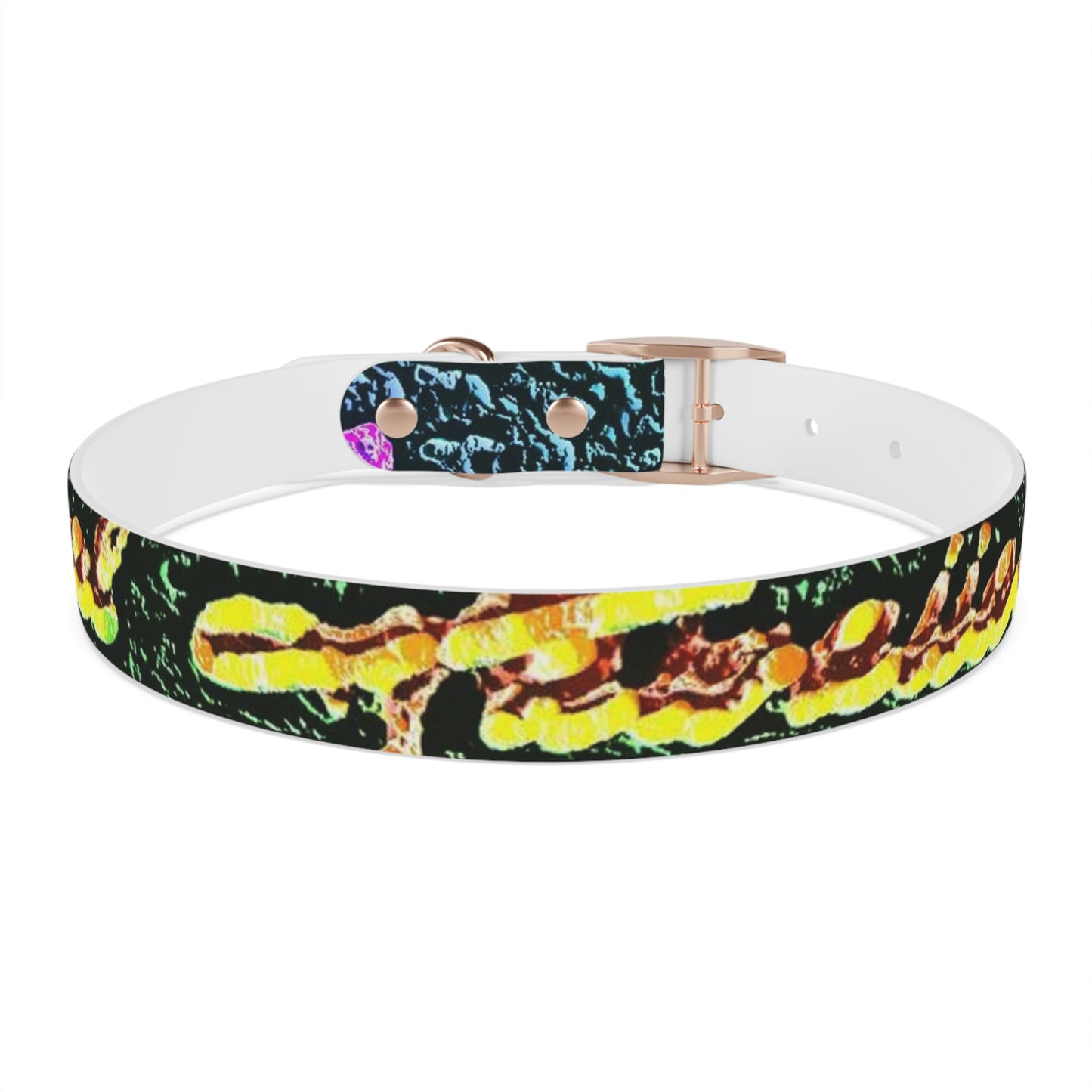 Dog Collar ... "La Grande Entree" At: 'The Pink Palace' ... The Royal Hawai'ian ... Honolulu, HI ... '27Oct2014' ... Original Works ...