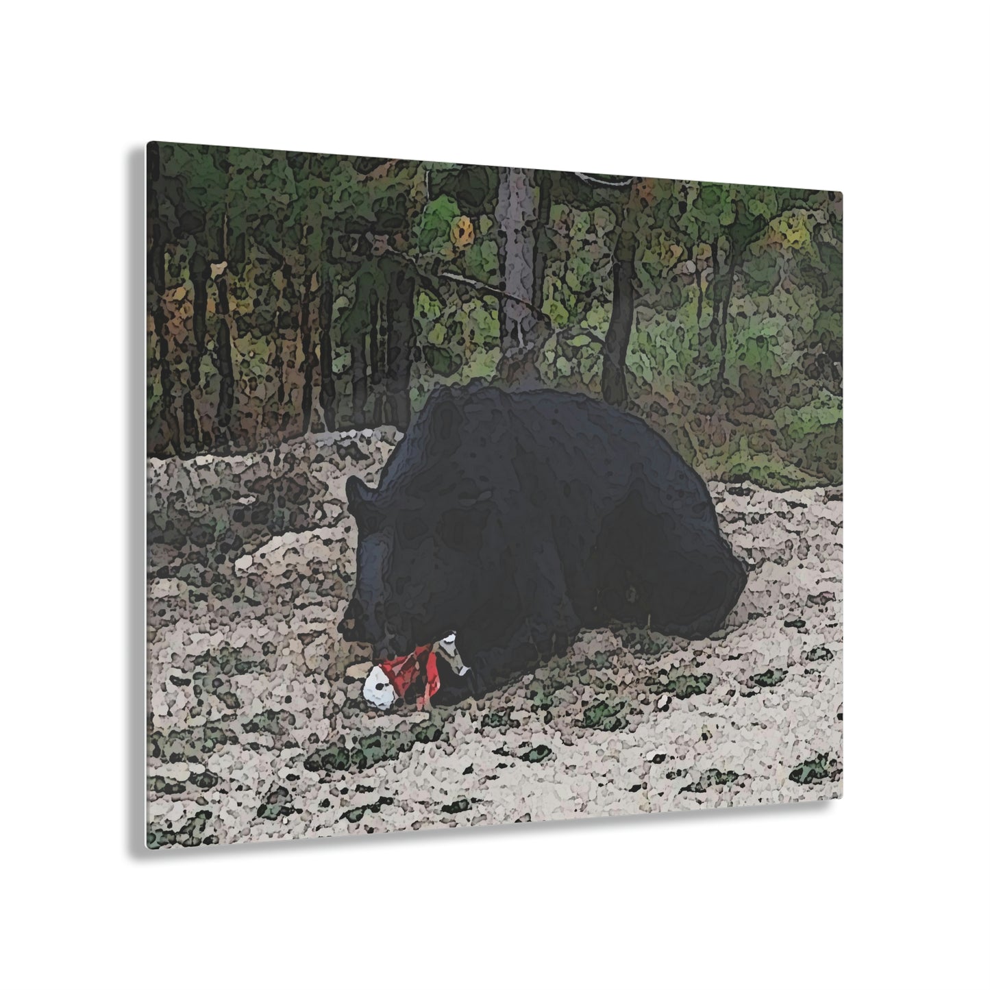 Acrylic Prints ... RCY: "Rhett Creek Yogi ... '500 Lbs Of Autumn Season Hunger' ..."  ... September 2022 ... Central Idaho ... Original Works ...