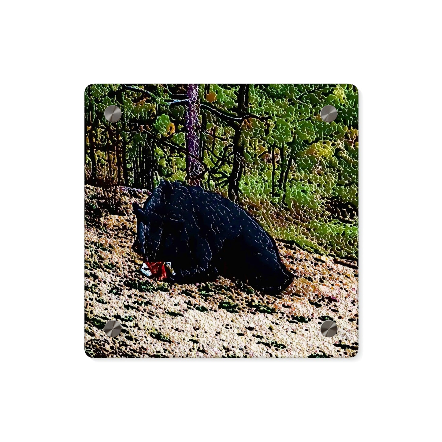 Acrylic Wall Art Panels ... RCY: "Rhett Creek Yogi ... '500 Lbs Of Autumn Season Hunger' ..."  ... September 2022 ... Central Idaho ... Original Works ...