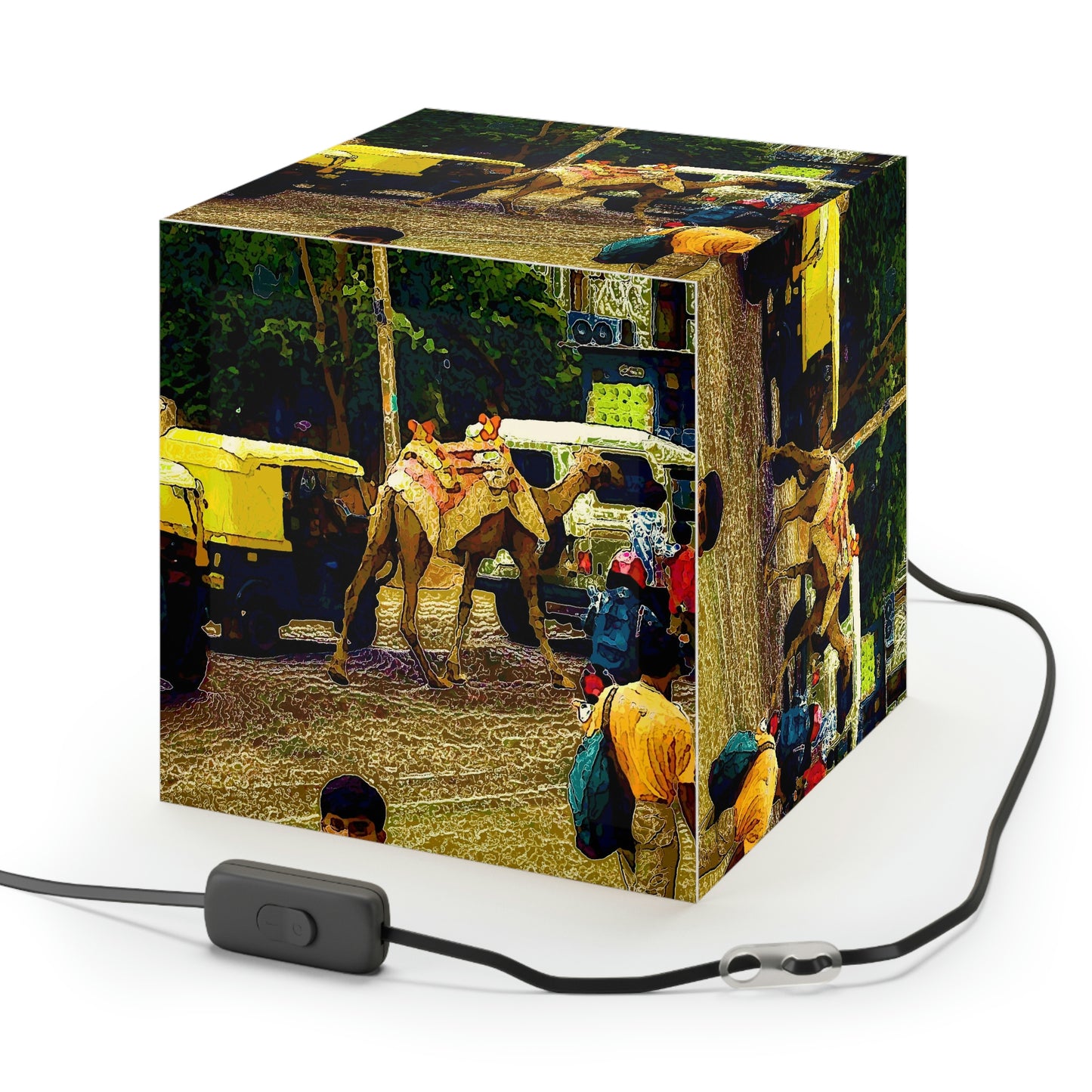 Light Cube Lamp ... "Truckin'-Up-To-Buffalo ... 'Oops - Wrong Country' ... Truckin'-Up-To-New Delll -'E' ... " ... (Delhi, India) ... 5July2007. Original Works ...