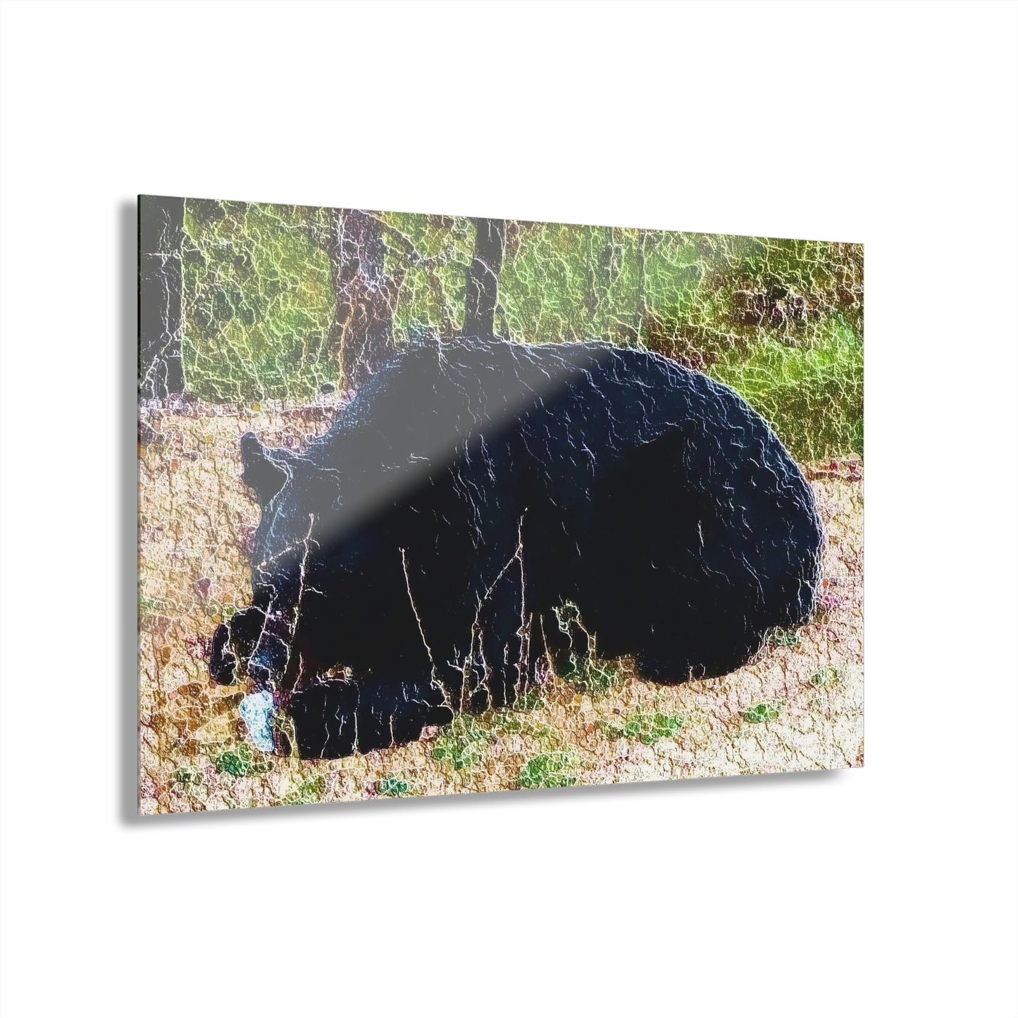 Acrylic Prints (French Cleat Hanging) ... RCY: "Rhett Creek Yogi ... '500 Lbs Of Autumn Season Hunger' ..."  ... September 2022 ... Central Idaho ... Original Works ...