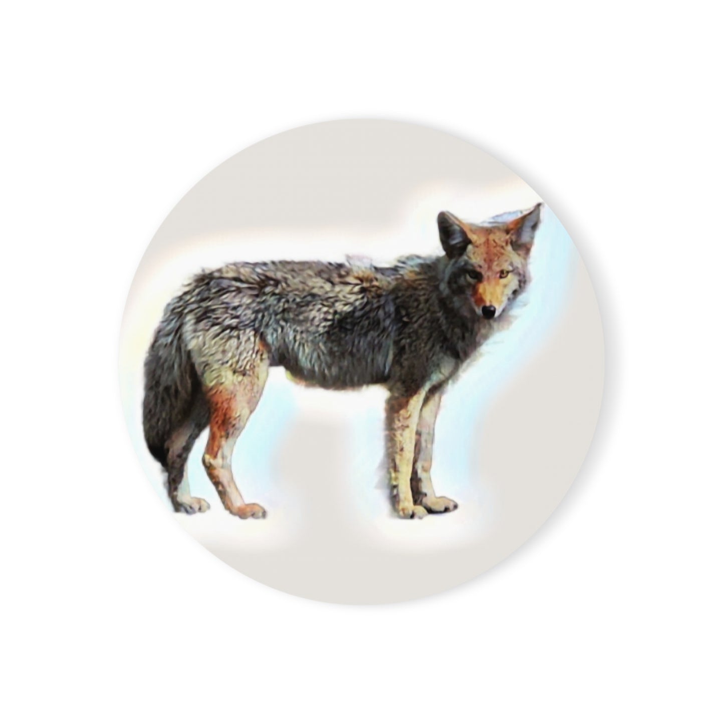 Cork Back Coaster ... Coyote ... "Yosemite Valley: Circa May23 ... KPH Base Photo" ... Original Works ...