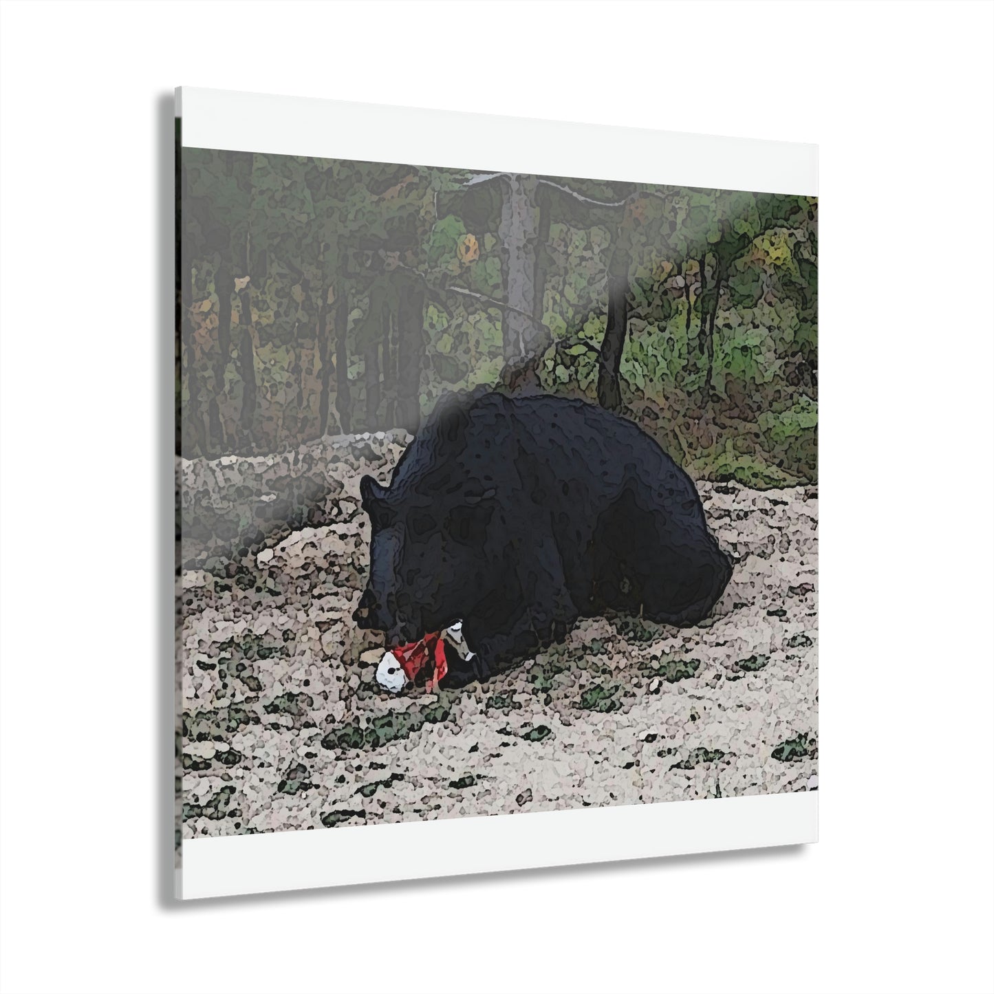 Acrylic Prints (French Cleat Hanging) ... RCY: "Rhett Creek Yogi ... '500 Lbs Of Autumn Season Hunger' ..."  ... September 2022 ... Central Idaho ... Original Works ...