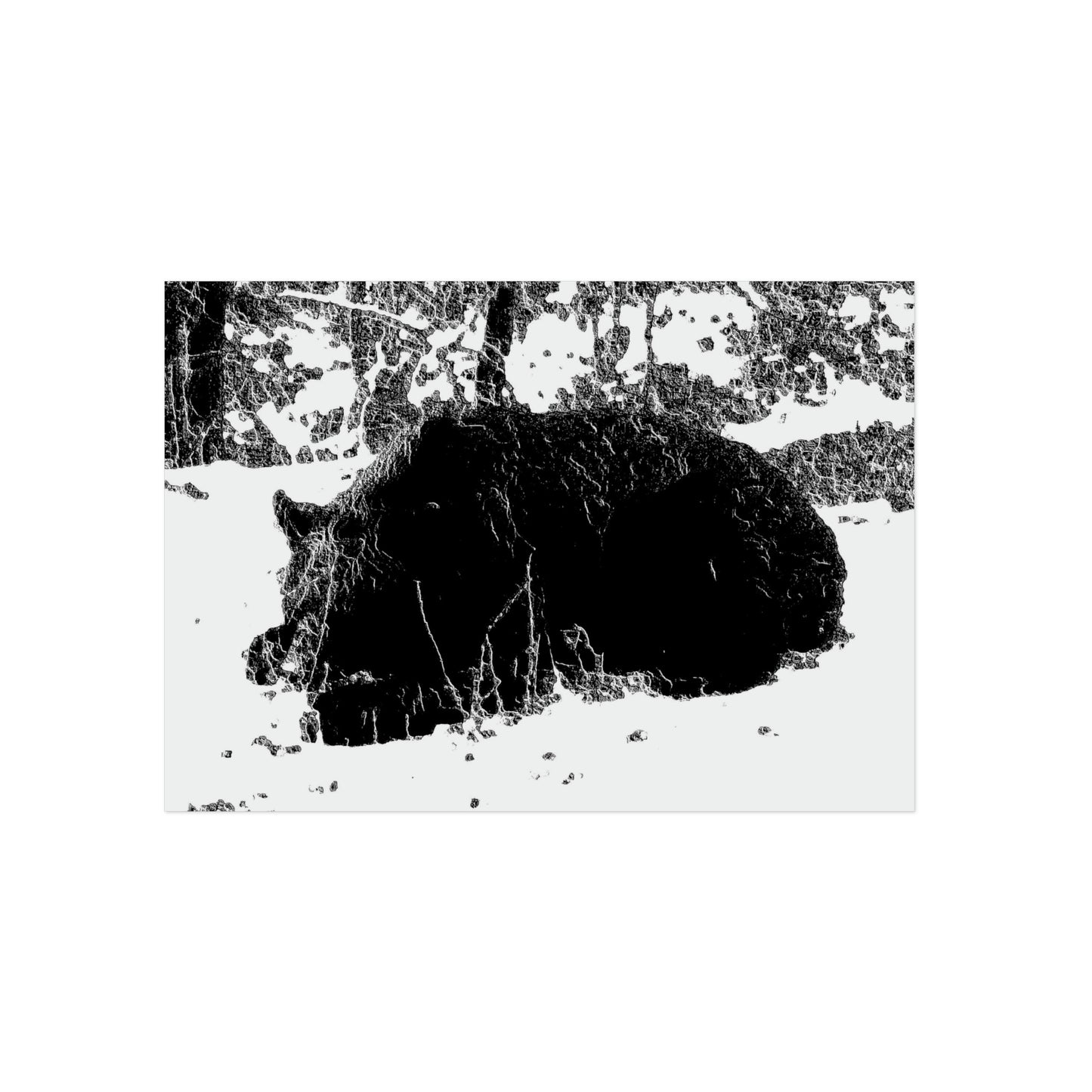 Aluminum Composite Panels ... A Local 'Yogi' ... RCY: "Rhett Creek Yogi: 500#'s Of Hungry Black Bear" ... 28-29Sep23 ... Original Works ... Client Project-Folio ...
