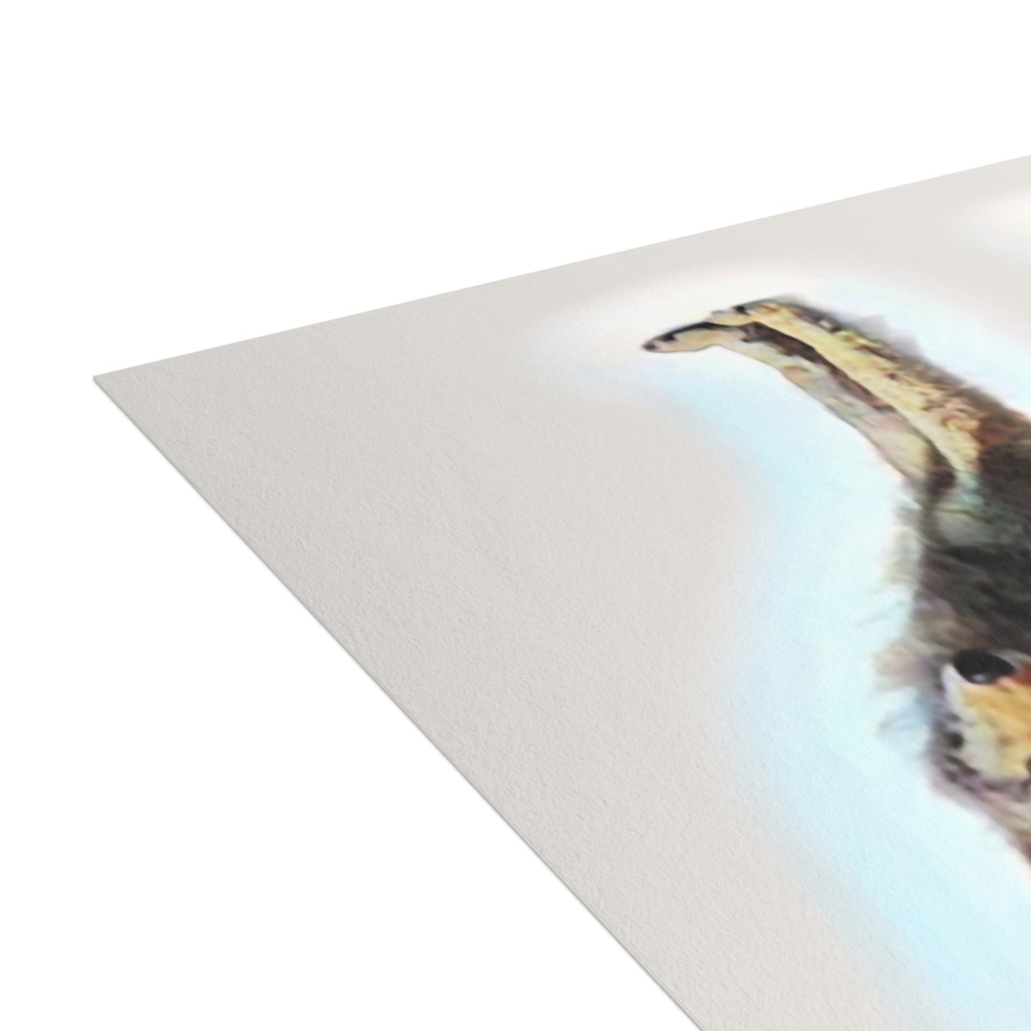 Greeting Cards (1, 10, 30, and 50pcs) ... Coyote ... "Yosemite Valley: Circa May23 ... KPH Base Photo" ... Original Works ...