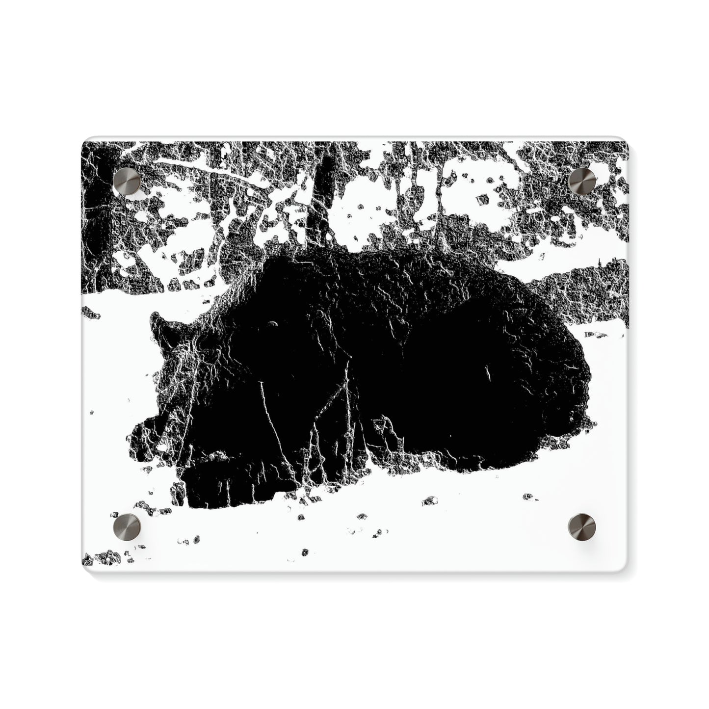 Acrylic Wall Art Panels ... RCY: "Rhett Creek Yogi ... '500 Lbs Of Autumn Season Hunger' ..."  ... September 2022 ... Central Idaho ... Original Works ...