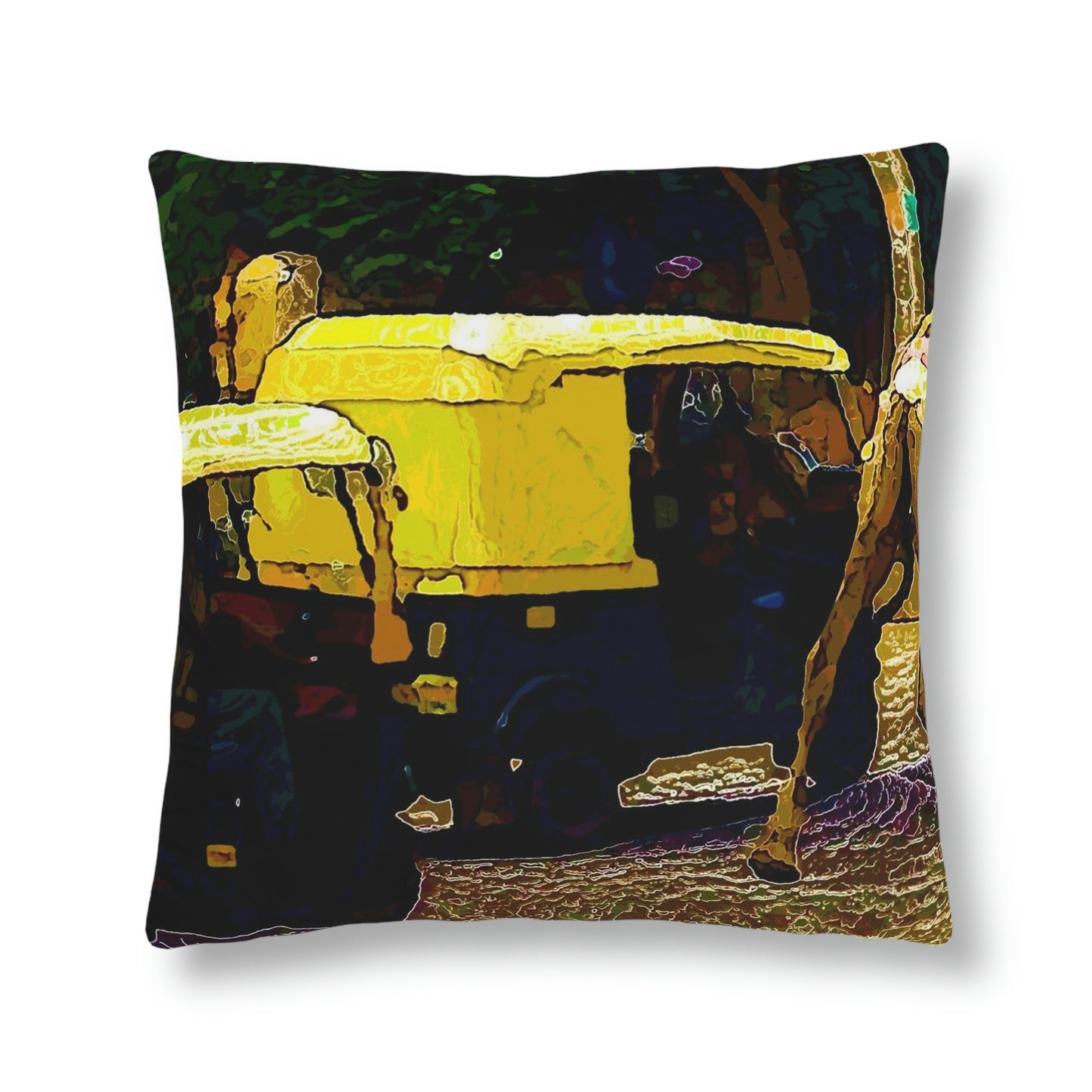 Waterproof Pillows ... "Truckin'-Up-To-Buffalo ... 'Oops - Wrong Country' ... Truckin'-Up-To-New Delll -'E' ... " ... (Delhi, India) ... 5July2007. Original Works ...
