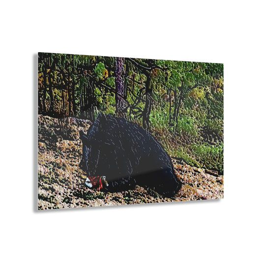 Acrylic Prints ... RCY: "Rhett Creek Yogi ... '500 Lbs Of Autumn Season Hunger' ..."  ... September 2022 ... Central Idaho ... Original Works ...