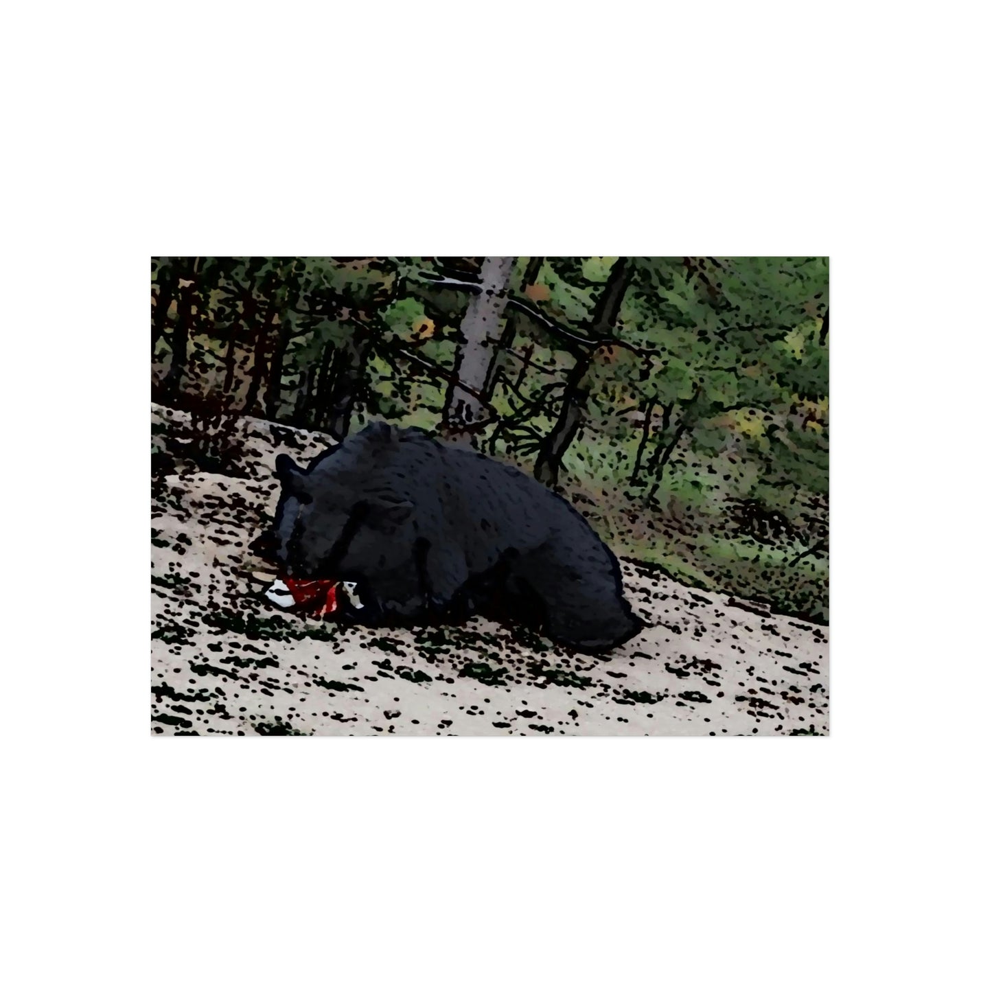 Aluminum Composite Panels ... A Local 'Yogi_4' ... RCY: "Rhett Creek Yogi: 500#'s Of Hungry Black Bear" ... 28-29Sep23 ... Original Works ... Client Project-Folio ...