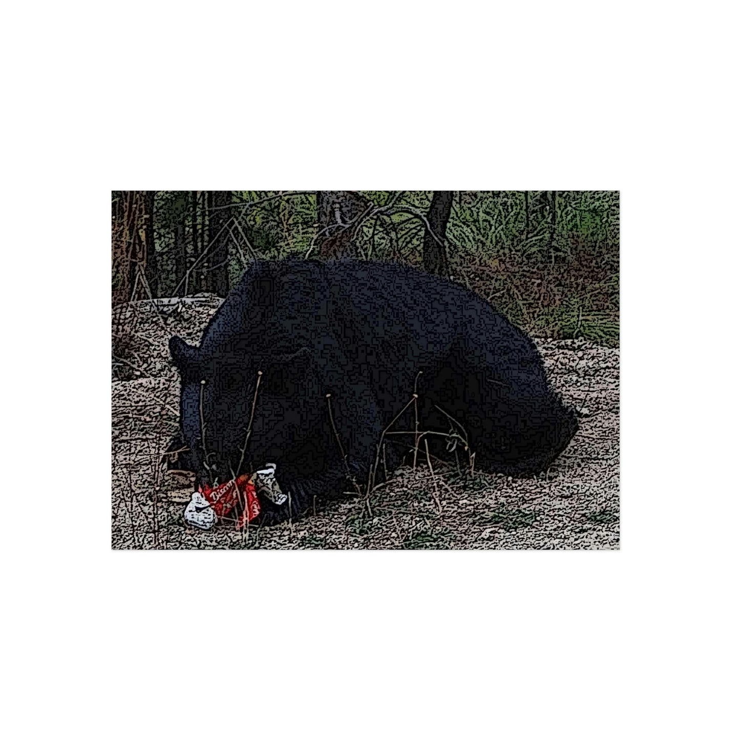 Aluminum Composite Panels ... A Local 'Yogi_3' ... RCY: "Rhett Creek Yogi: 500#'s Of Hungry Black Bear" ... 28-29Sep23 ... Original Works ... Client Project-Folio ...