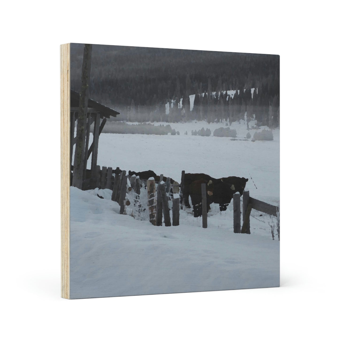 Wood Canvas ... A Quiet Morning ... "Along The Red River & Nature Preserve Plateau" ... Jan23 ... Original Works ...