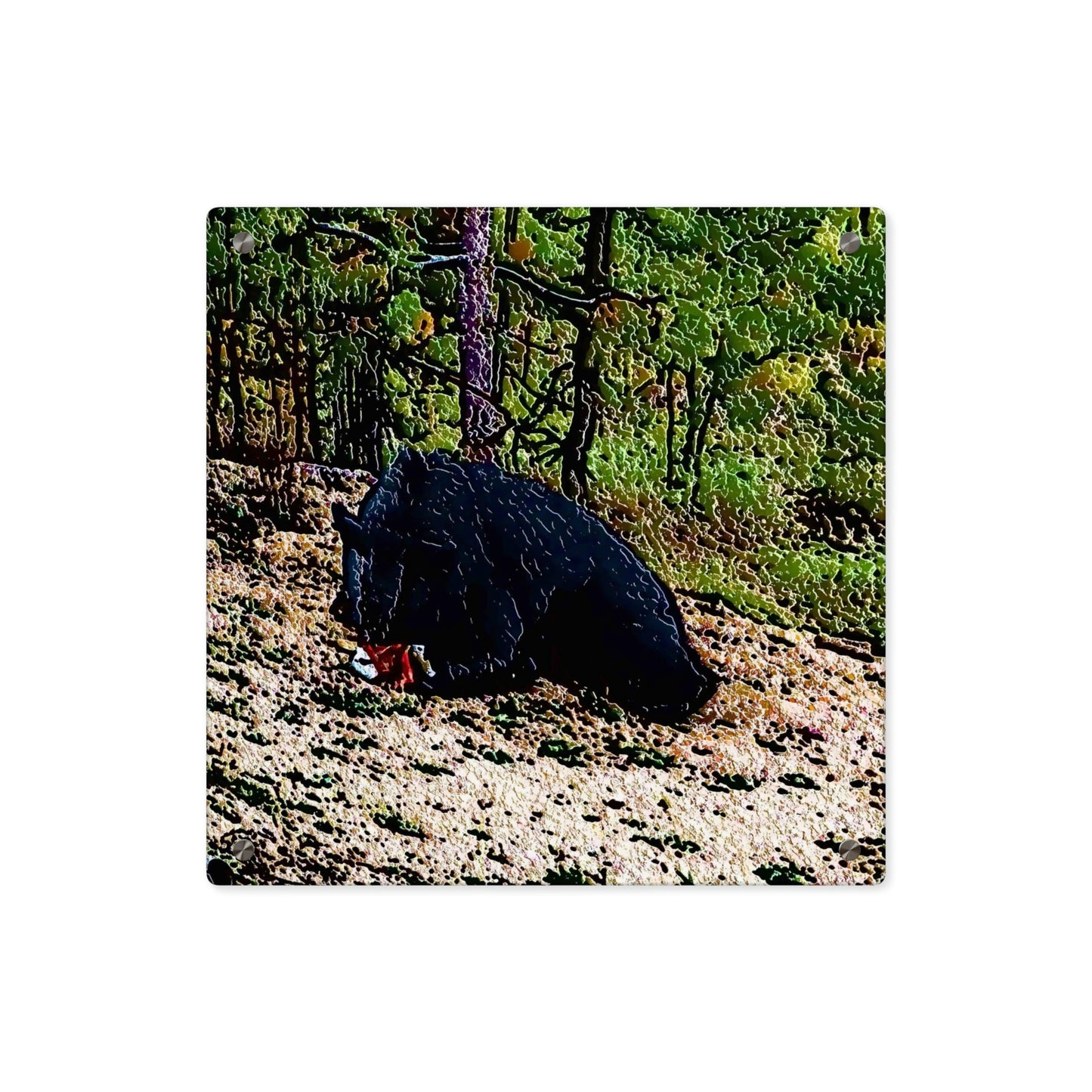 Acrylic Wall Art Panels ... RCY: "Rhett Creek Yogi ... '500 Lbs Of Autumn Season Hunger' ..."  ... September 2022 ... Central Idaho ... Original Works ...