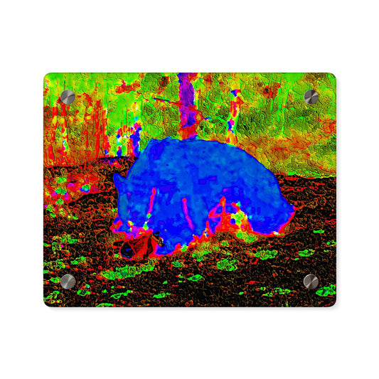 Acrylic Wall Art Panels ... RCY: "Rhett Creek Yogi ... '500 Lbs Of Autumn Season Hunger' ..."  ... September 2022 ... Central Idaho ... Original Works ...