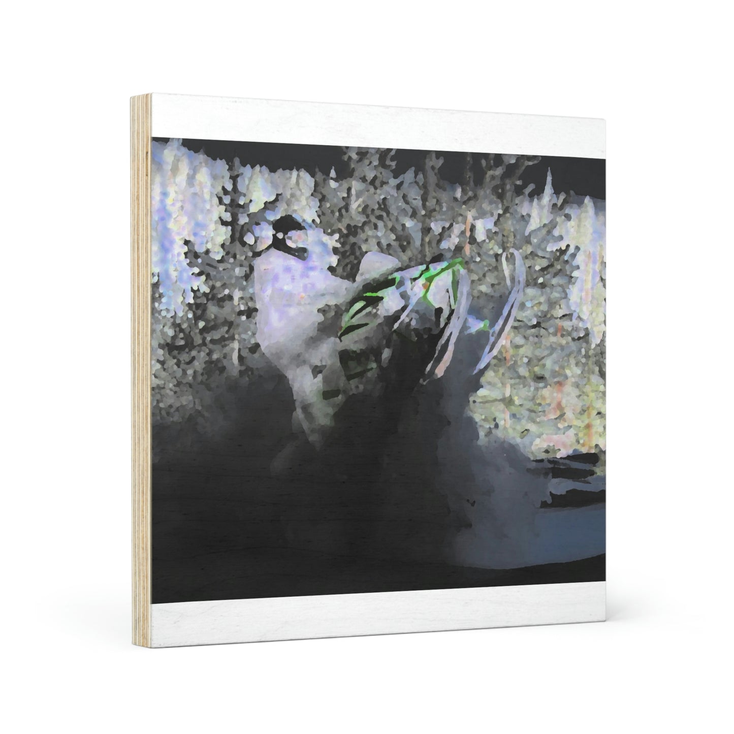 Wood Canvas ... Snowmobile Airtime In Central Idaho ...