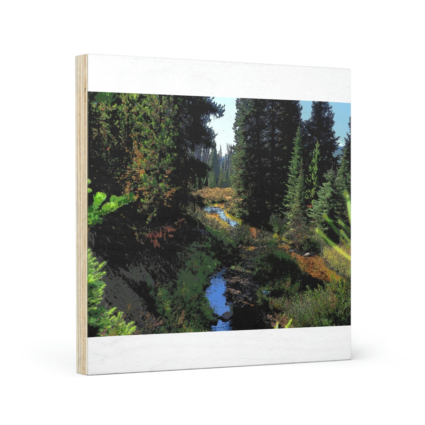 Wood Canvas ... Dixie Guard Station, Dixie, Idaho: Crooked Creek Running South ... September 2022
