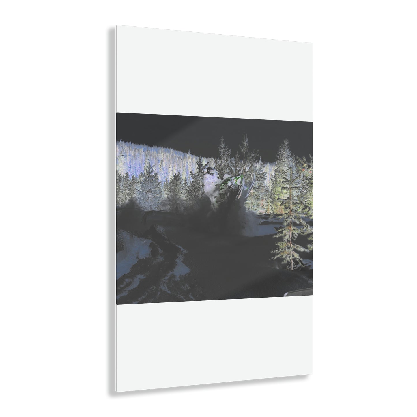 Acrylic Prints ... "No Time 'Like-Air-Time' ..." ... A True Master At His Craft ... December 2022, Rhett Creek, Idaho ... Original Works ...