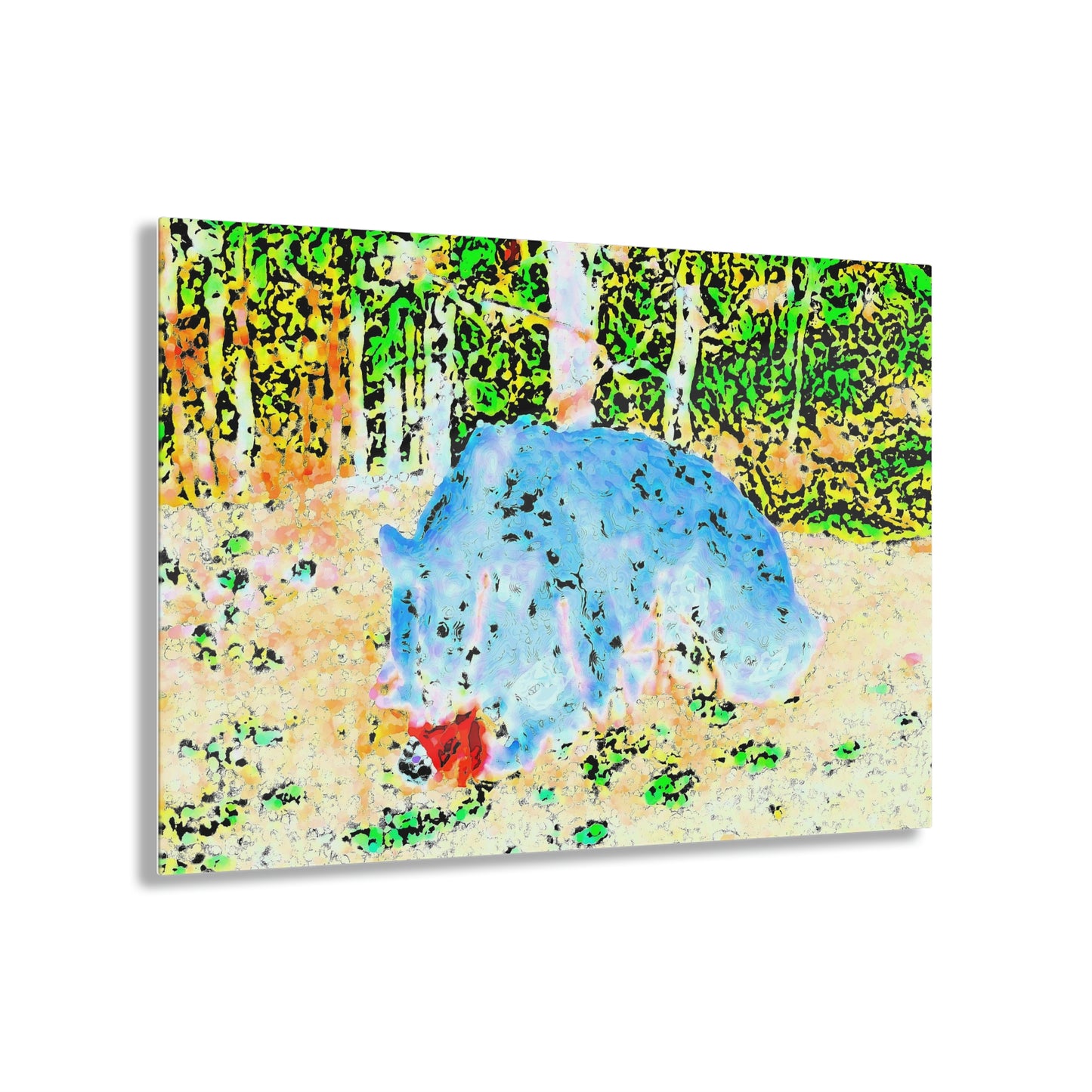Acrylic Prints ... RCY: "Rhett Creek Yogi ... '500 Lbs Of Autumn Season Hunger' ..."  ... September 2022 ... Central Idaho ... Original Works ...