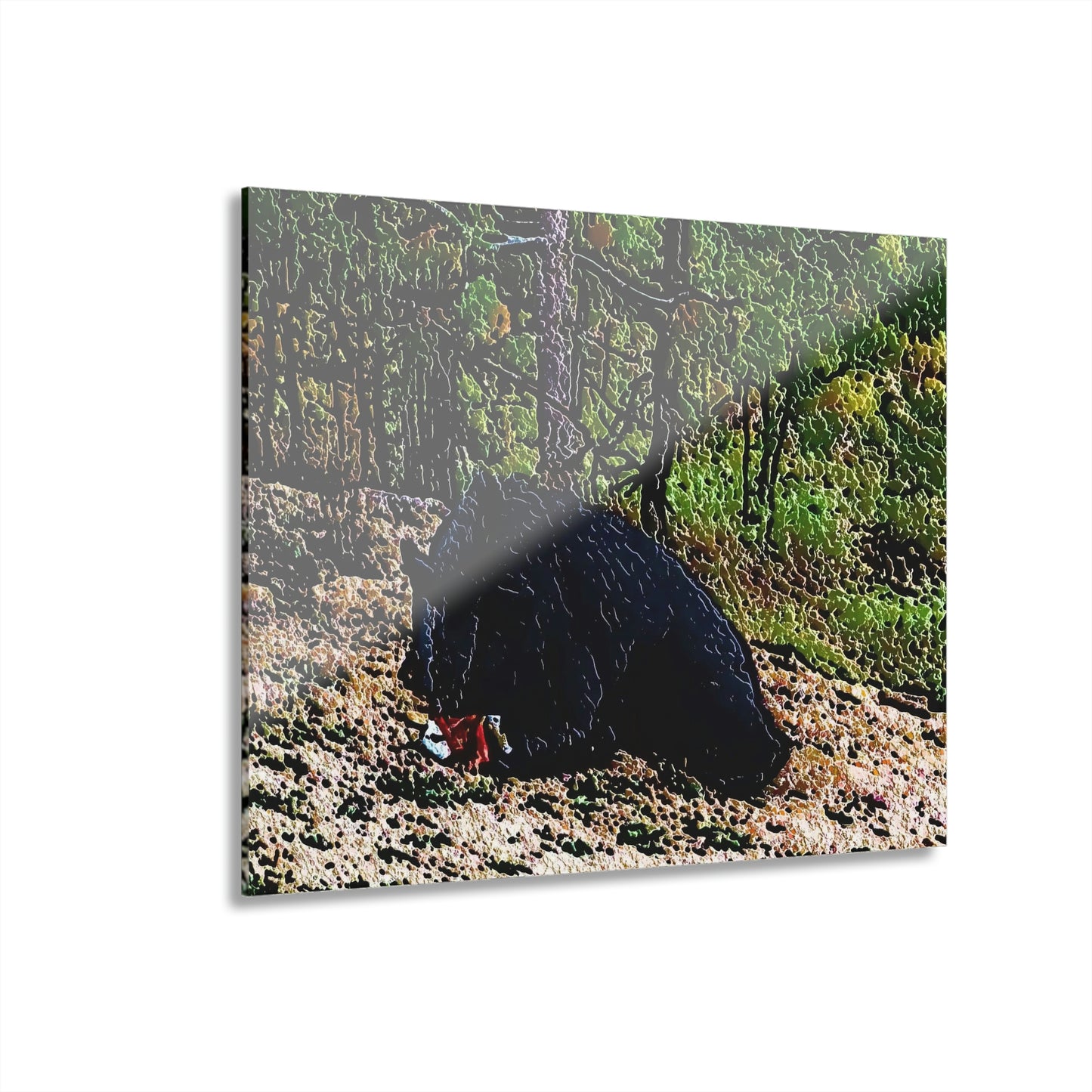 Acrylic Prints (French Cleat Hanging) ... RCY: "Rhett Creek Yogi ... '500 Lbs Of Autumn Season Hunger' ..."  ... September 2022 ... Central Idaho ... Original Works ...