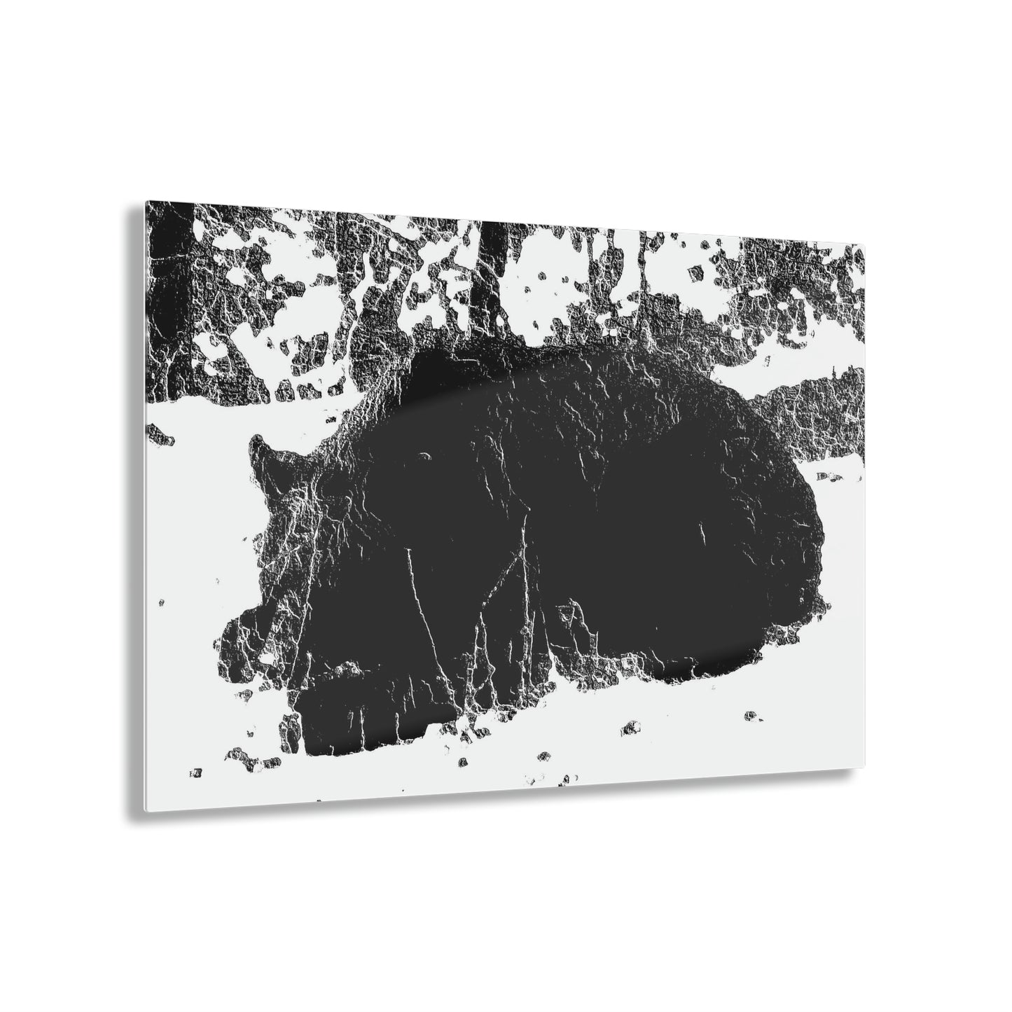 Acrylic Prints ... RCY: "Rhett Creek Yogi ... '500 Lbs Of Autumn Season Hunger' ..."  ... September 2022 ... Central Idaho ... Original Works ...
