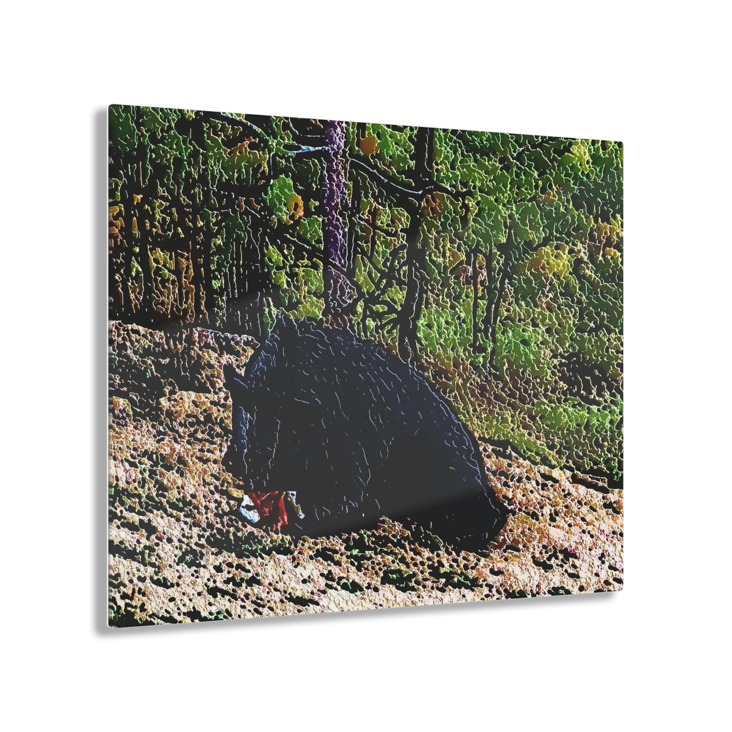 Acrylic Prints ... RCY: "Rhett Creek Yogi ... '500 Lbs Of Autumn Season Hunger' ..."  ... September 2022 ... Central Idaho ... Original Works ...