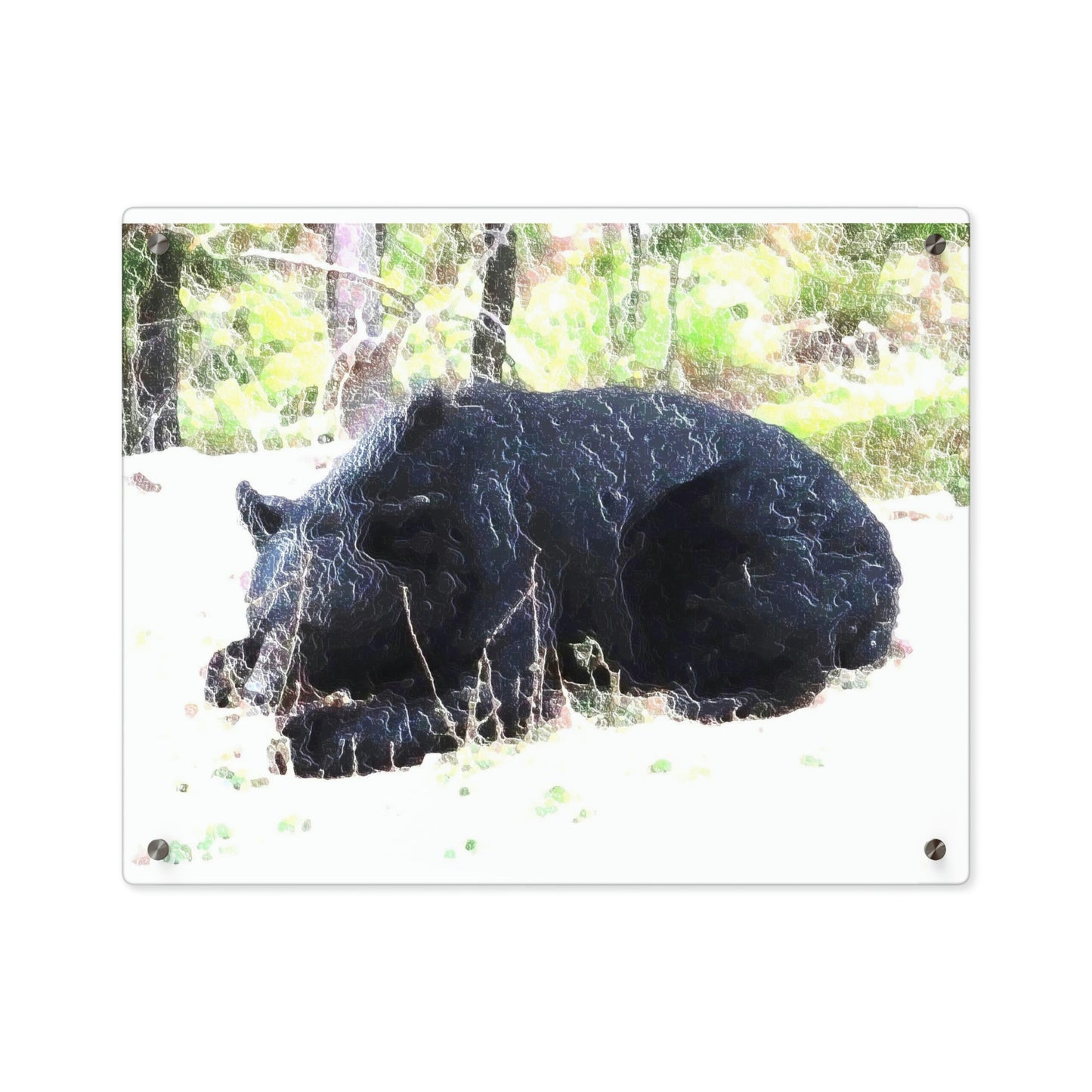 Acrylic Wall Art Panels ... RCY: "Rhett Creek Yogi ... '500 Lbs Of Autumn Season Hunger' ..."  ... September 2022 ... Central Idaho ... Original Works ...