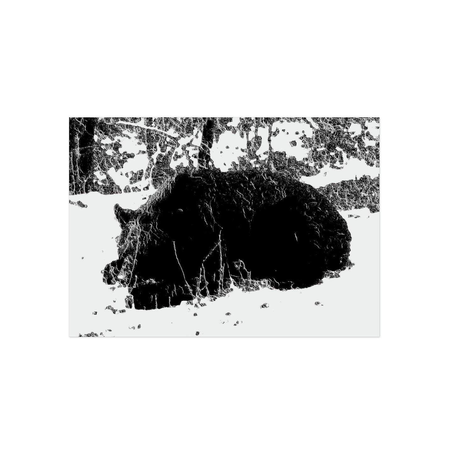Aluminum Composite Panels ... A Local 'Yogi' ... RCY: "Rhett Creek Yogi: 500#'s Of Hungry Black Bear" ... 28-29Sep23 ... Original Works ... Client Project-Folio ...