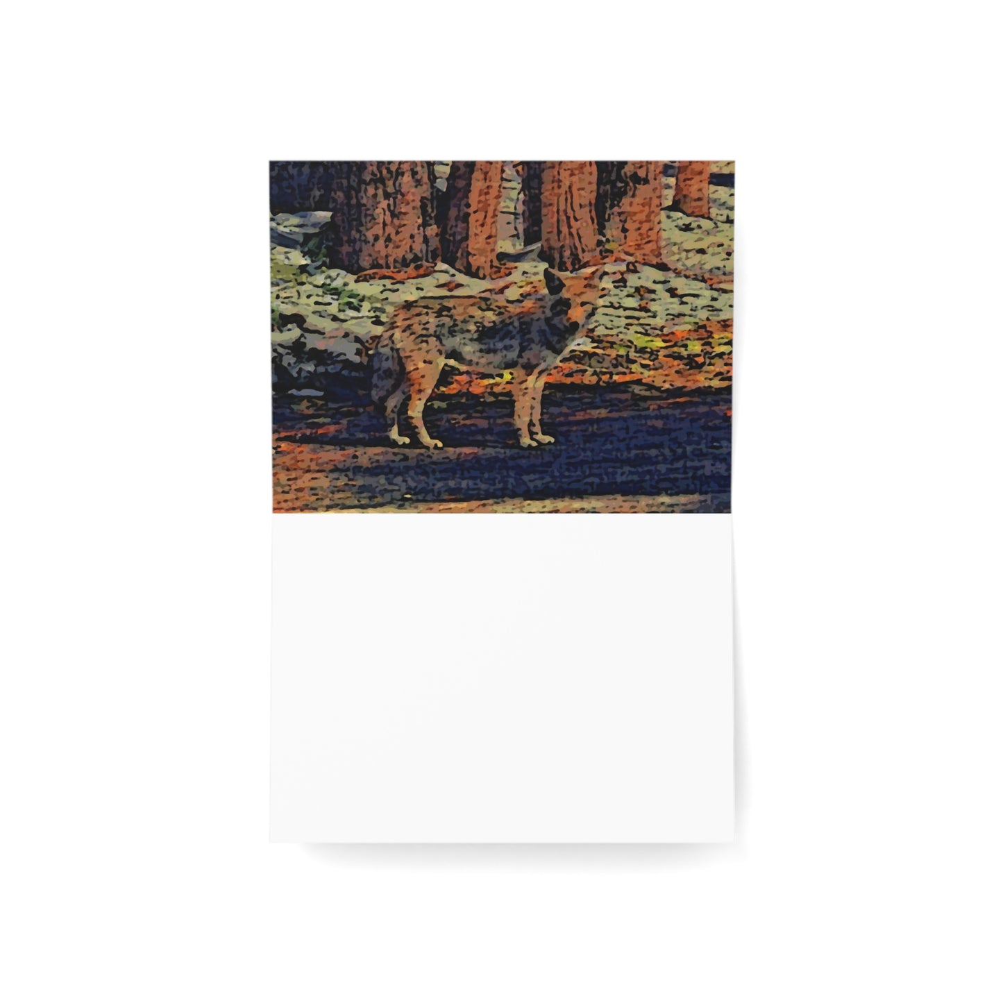 Greeting Cards (1, 10, 30, and 50pcs) ... Coyote ... "Yosemite Valley: Circa May23 ... KPH Base Photo" ... Original Works ...