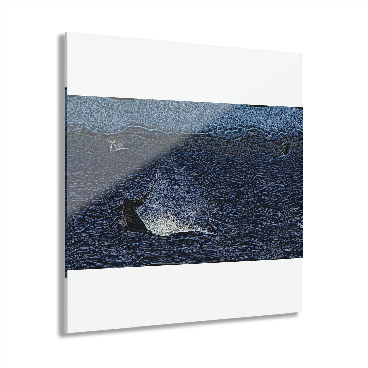 Acrylic Prints (French Cleat Hanging) ... "A Trio Of Humpback Joy" ...  Maui, HI ... April Fools Day ... 1Apr23 ... Original Works - Family Archives ...