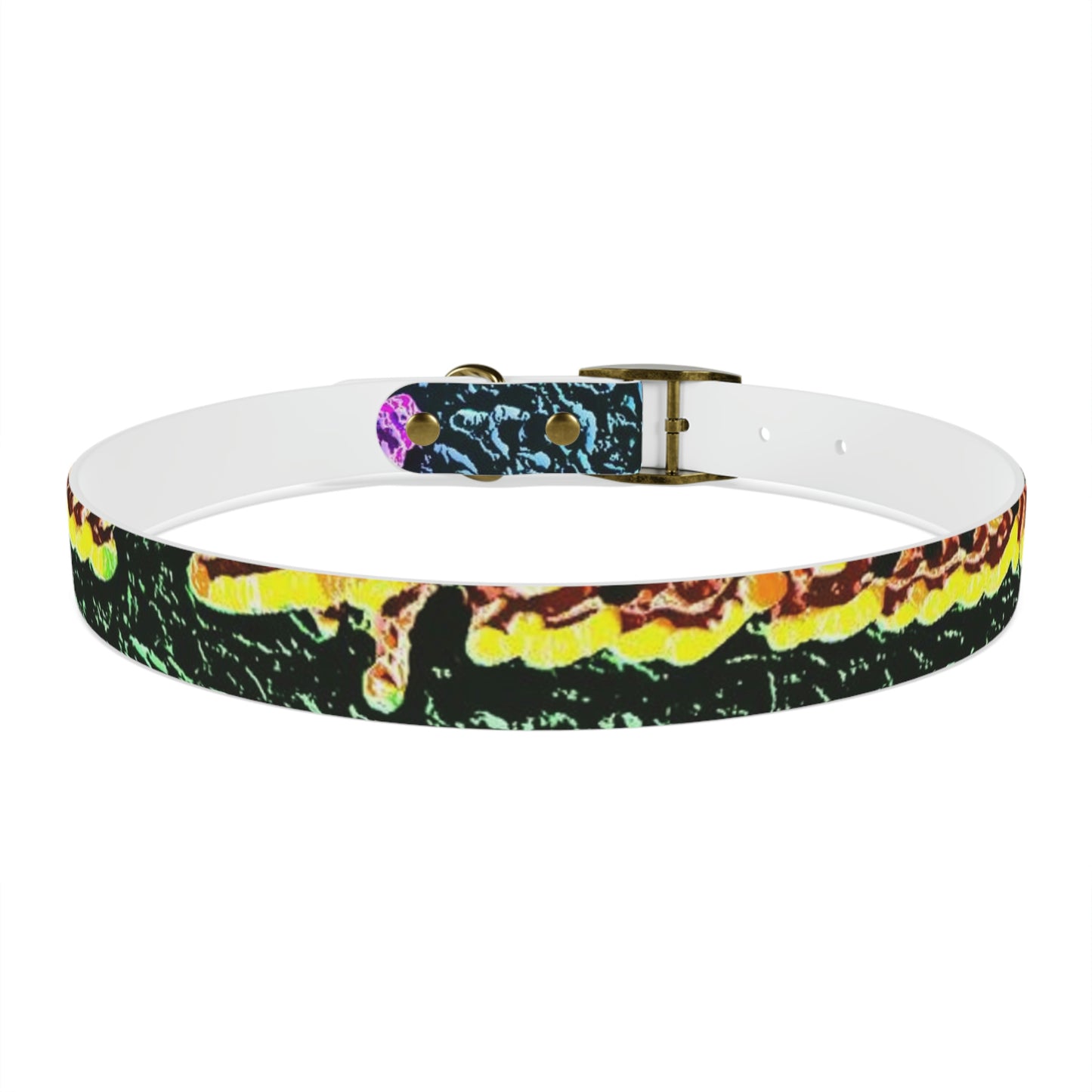Dog Collar ... "La Grande Entree" At: 'The Pink Palace' ... The Royal Hawai'ian ... Honolulu, HI ... '27Oct2014' ... Original Works ...