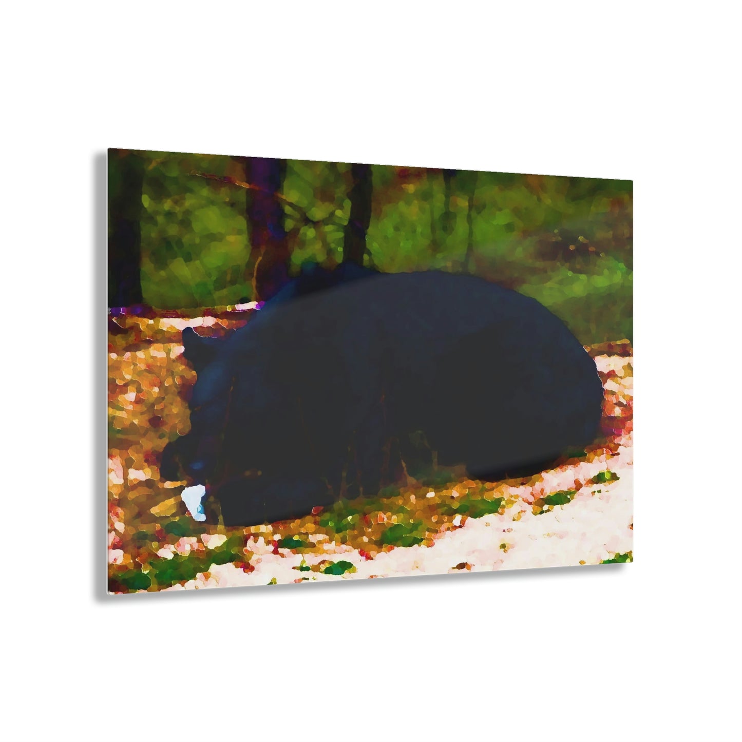 Acrylic Prints ... RCY: "Rhett Creek Yogi ... '500 Lbs Of Autumn Season Hunger' ..."  ... September 2022 ... Central Idaho ... Original Works ...