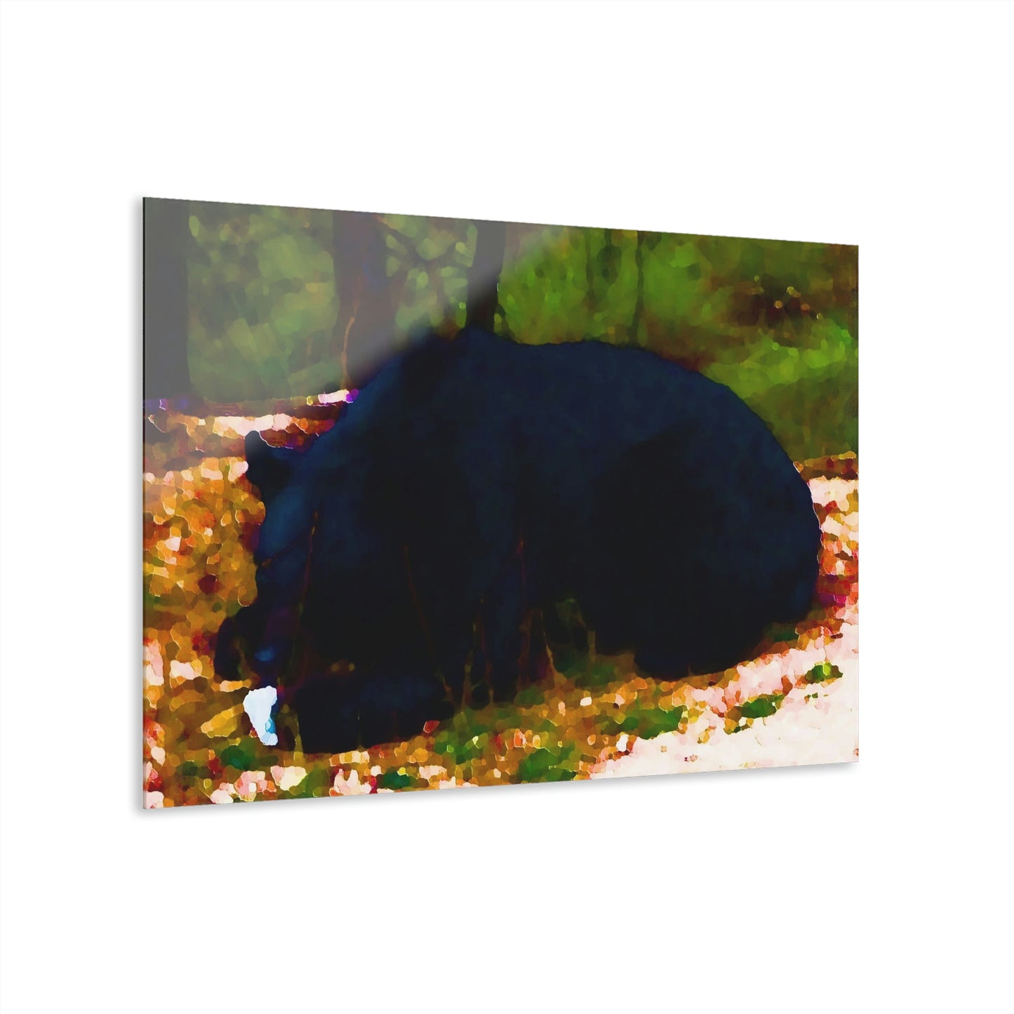 Acrylic Prints (French Cleat Hanging) ... RCY: "Rhett Creek Yogi ... '500 Lbs Of Autumn Season Hunger' ..."  ... September 2022 ... Central Idaho ... Original Works ...