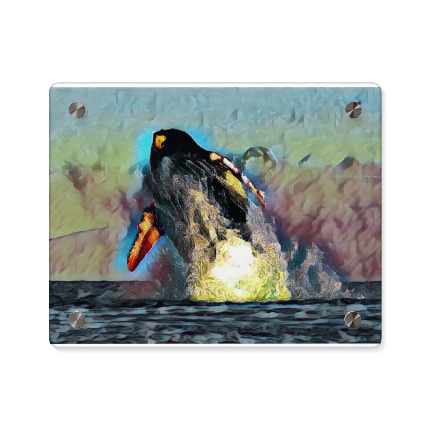 Acrylic Wall Art Panels ... An Extraordinary Humpback Breach ... 'With Explosive Energy' ... Family Archives (KPH) ... Circa: 21st Century. Maui, HI ... Original Works ...