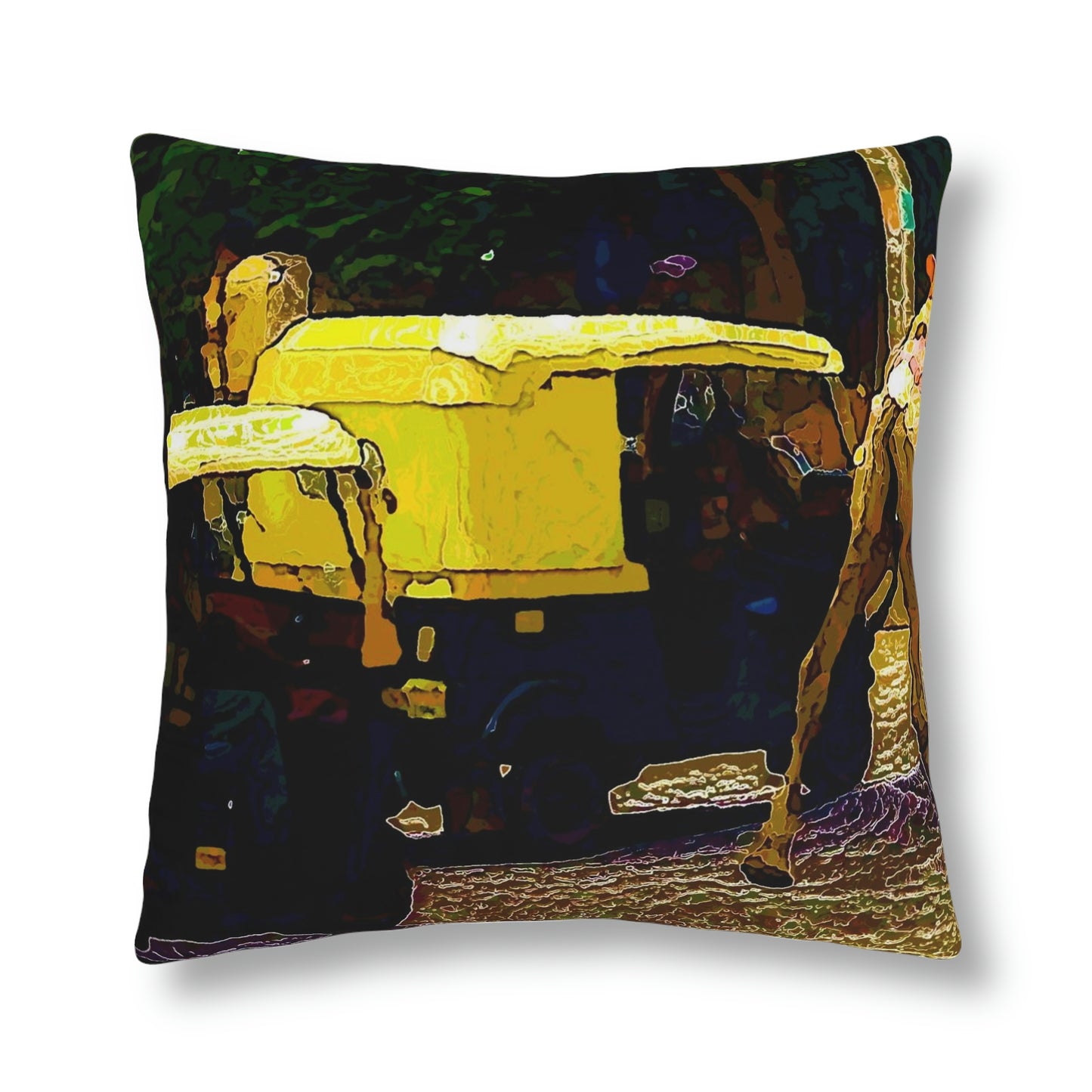 Waterproof Pillows ... "Truckin'-Up-To-Buffalo ... 'Oops - Wrong Country' ... Truckin'-Up-To-New Delll -'E' ... " ... (Delhi, India) ... 5July2007. Original Works ...