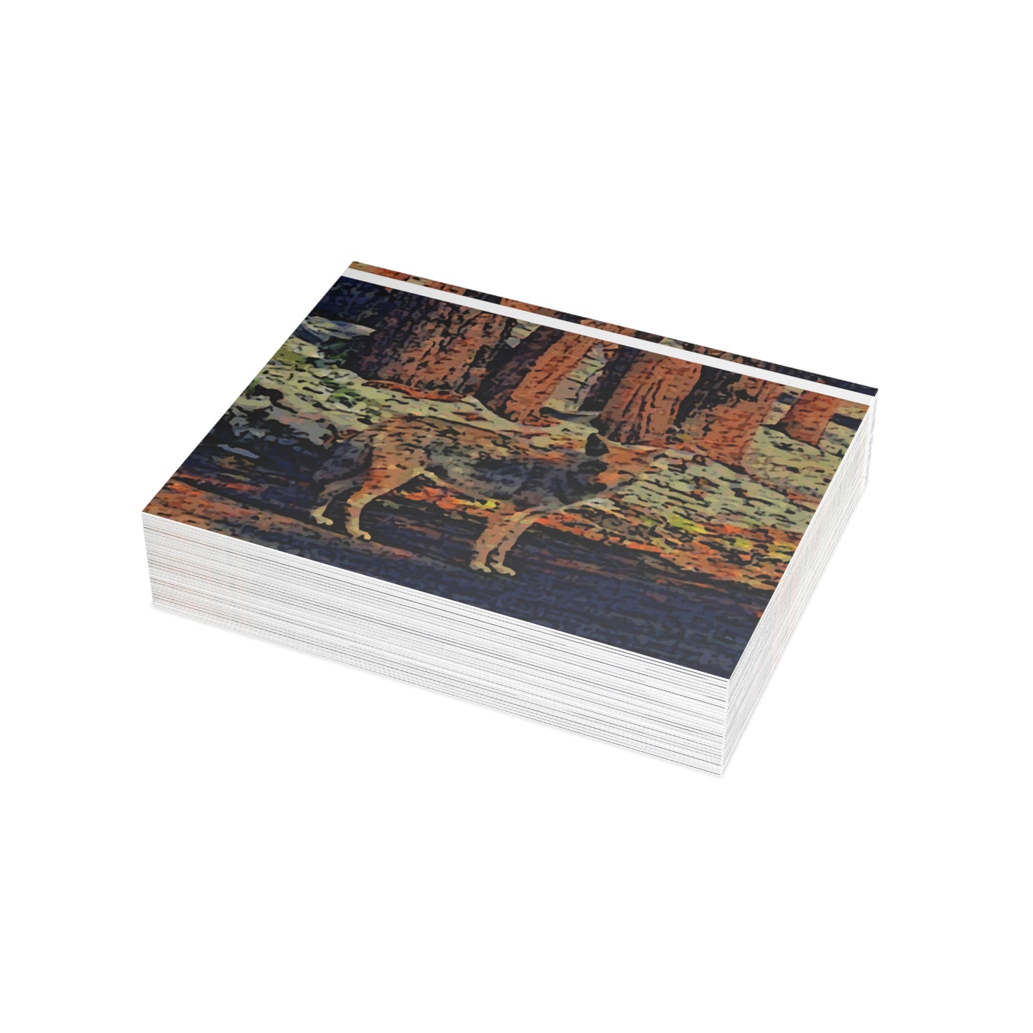 Greeting Cards (1, 10, 30, and 50pcs) ... Coyote ... "Yosemite Valley: Circa May23 ... KPH Base Photo" ... Original Works ...