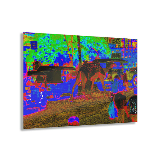 Acrylic Prints ... "Truckin'-Up-To-Buffalo ... 'Oops - Wrong Country' ... Truckin'-Up-To-New Delll -'E' ... " ... (Delhi, India) ... 5July2007. Original Works ...