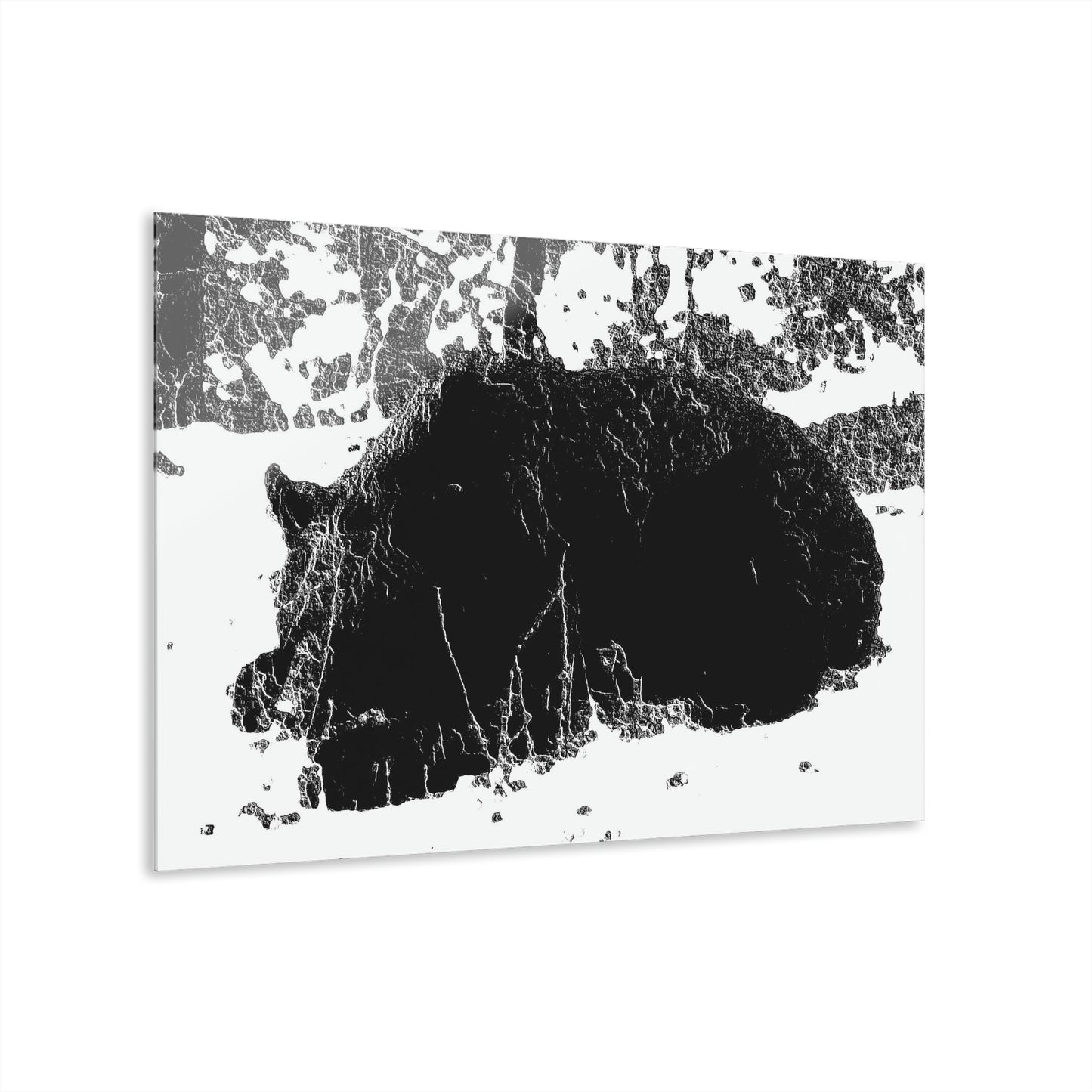 Acrylic Prints (French Cleat Hanging) ... RCY: "Rhett Creek Yogi ... '500 Lbs Of Autumn Season Hunger' ..."  ... September 2022 ... Central Idaho ... Original Works ...