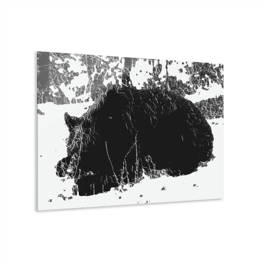 Acrylic Prints (French Cleat Hanging) ... RCY: "Rhett Creek Yogi ... '500 Lbs Of Autumn Season Hunger' ..."  ... September 2022 ... Central Idaho ... Original Works ...
