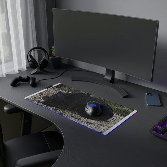LED Gaming Mouse Pad ... "With A Little 'Lite' .." ... You're Game ... The Bear's Game ... "Everyone Is Game" ...