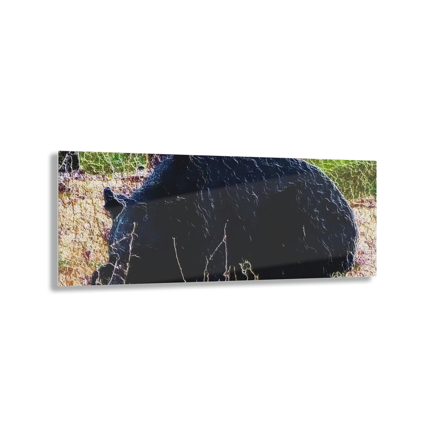 Acrylic Prints ... RCY: "Rhett Creek Yogi ... '500 Lbs Of Autumn Season Hunger' ..."  ... September 2022 ... Central Idaho ... Original Works ...