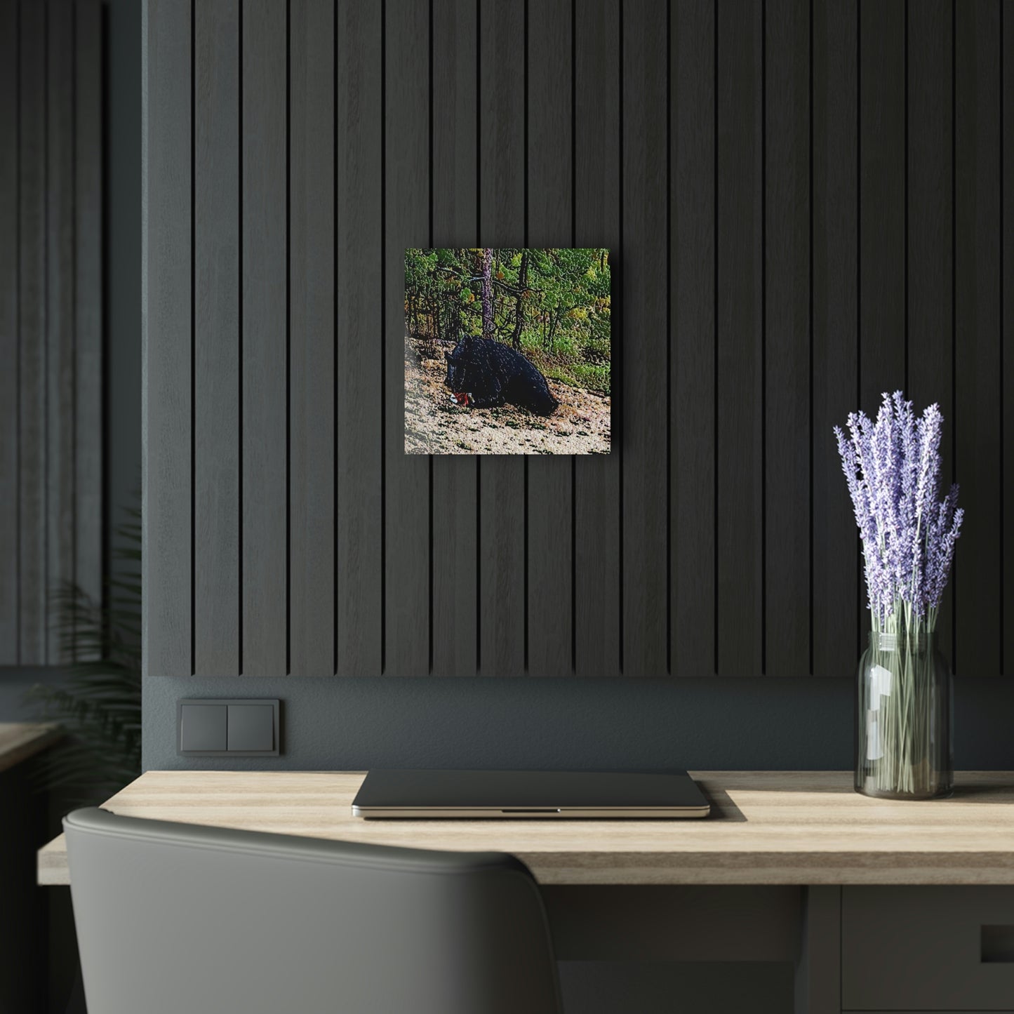 Acrylic Prints (French Cleat Hanging) ... RCY: "Rhett Creek Yogi ... '500 Lbs Of Autumn Season Hunger' ..."  ... September 2022 ... Central Idaho ... Original Works ...