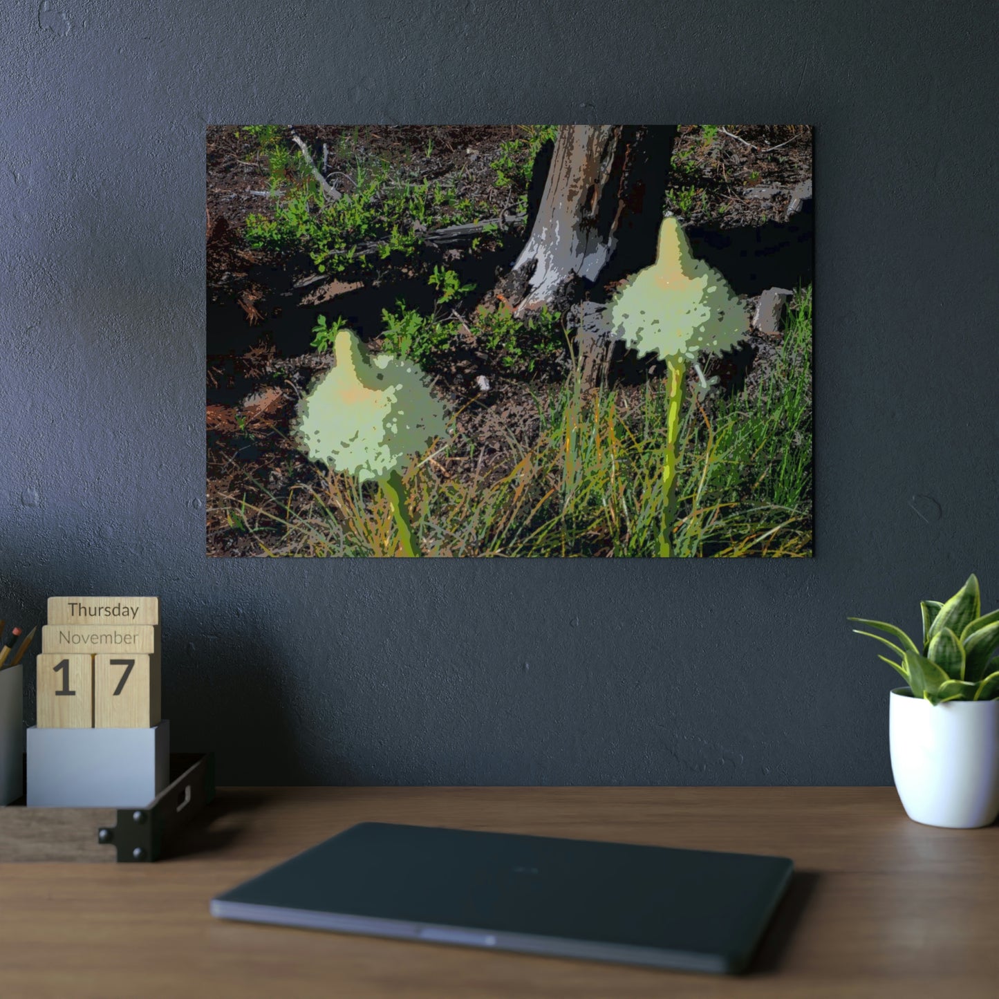 Aluminum Composite Panels ... Native Beargrass (Xerophyllum Spp.) June 2022: "Tells Us The Depth Of Next Winter's Snowpack By Its Spike's Heigth" ... Original Works ...