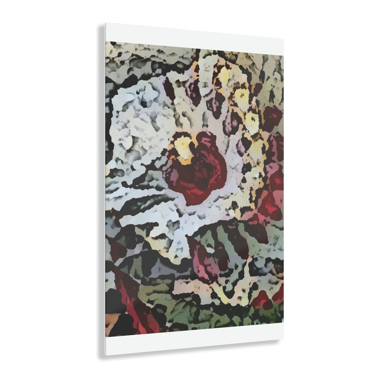 Acrylic Prints ... "A Friendly Flower" ... Pointsettia 'Pointing' ... Original Works ... (Supplied Photograph) ...