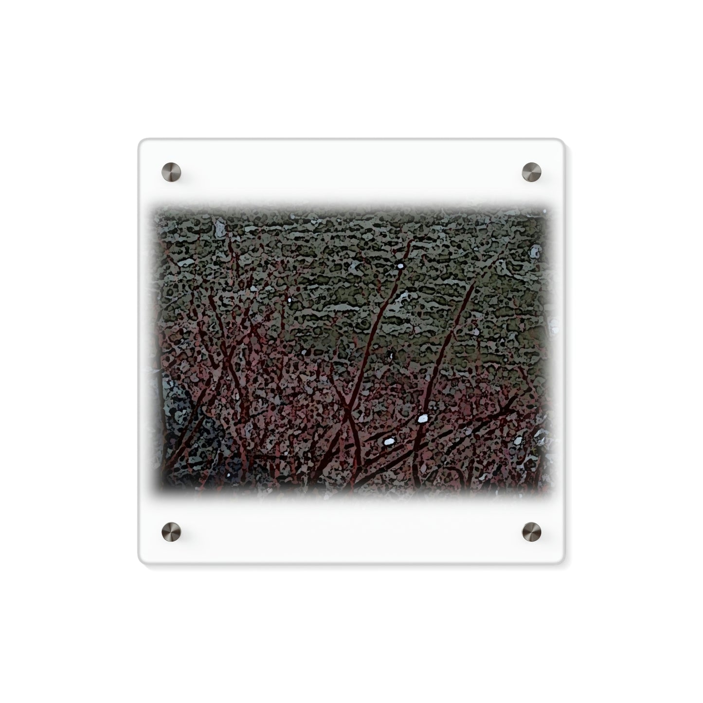 Acrylic Wall Art Panels ... "A River Runs Through It ... Red-Osier-Dogwood (Conus Stonlifera 'Rubra') .. Oringinal Works ... Central Idaho ...