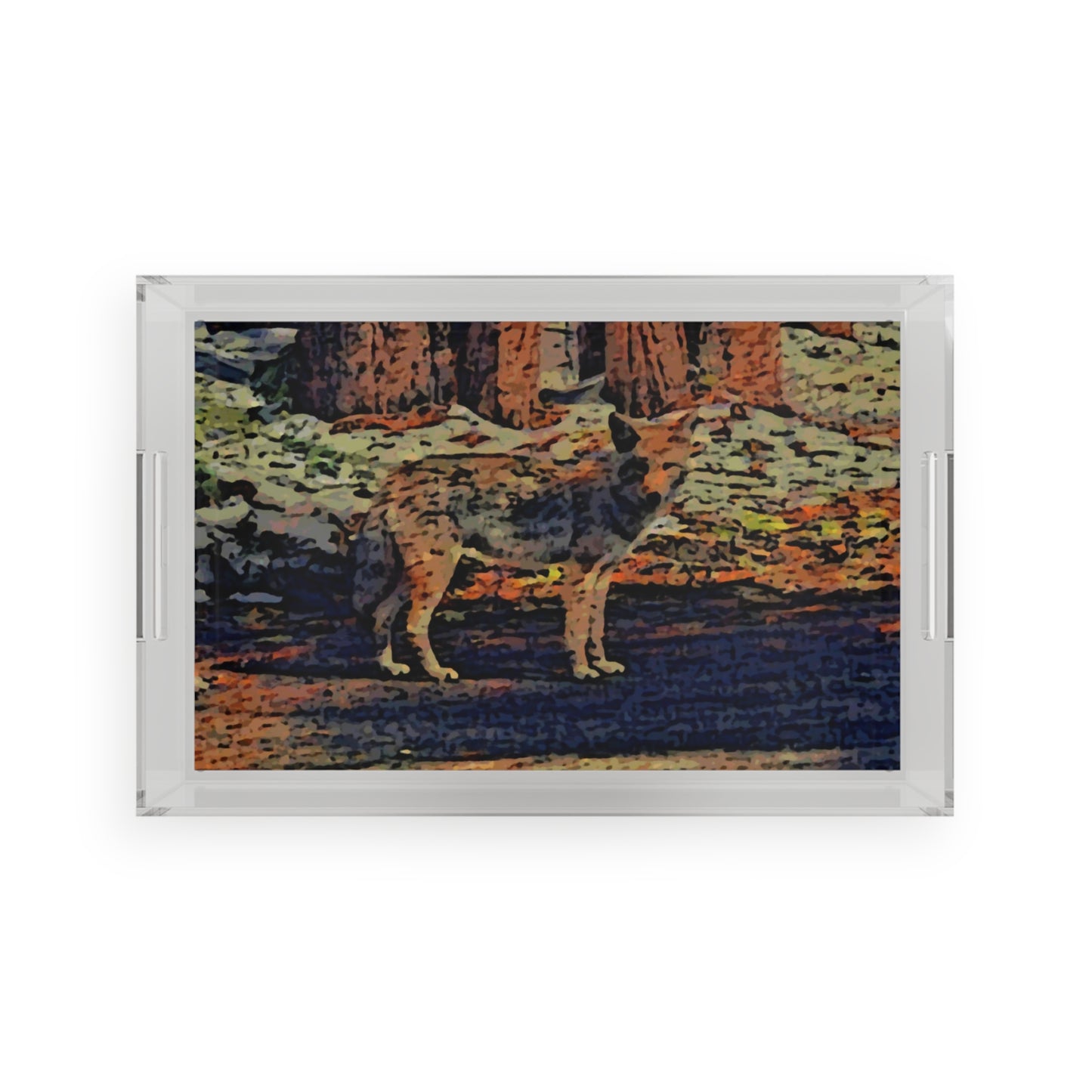 Acrylic Serving Tray ... Coyote ... "Yosemite Valley: Circa May23 ... KPH Base Photo" ... Original Works ...
